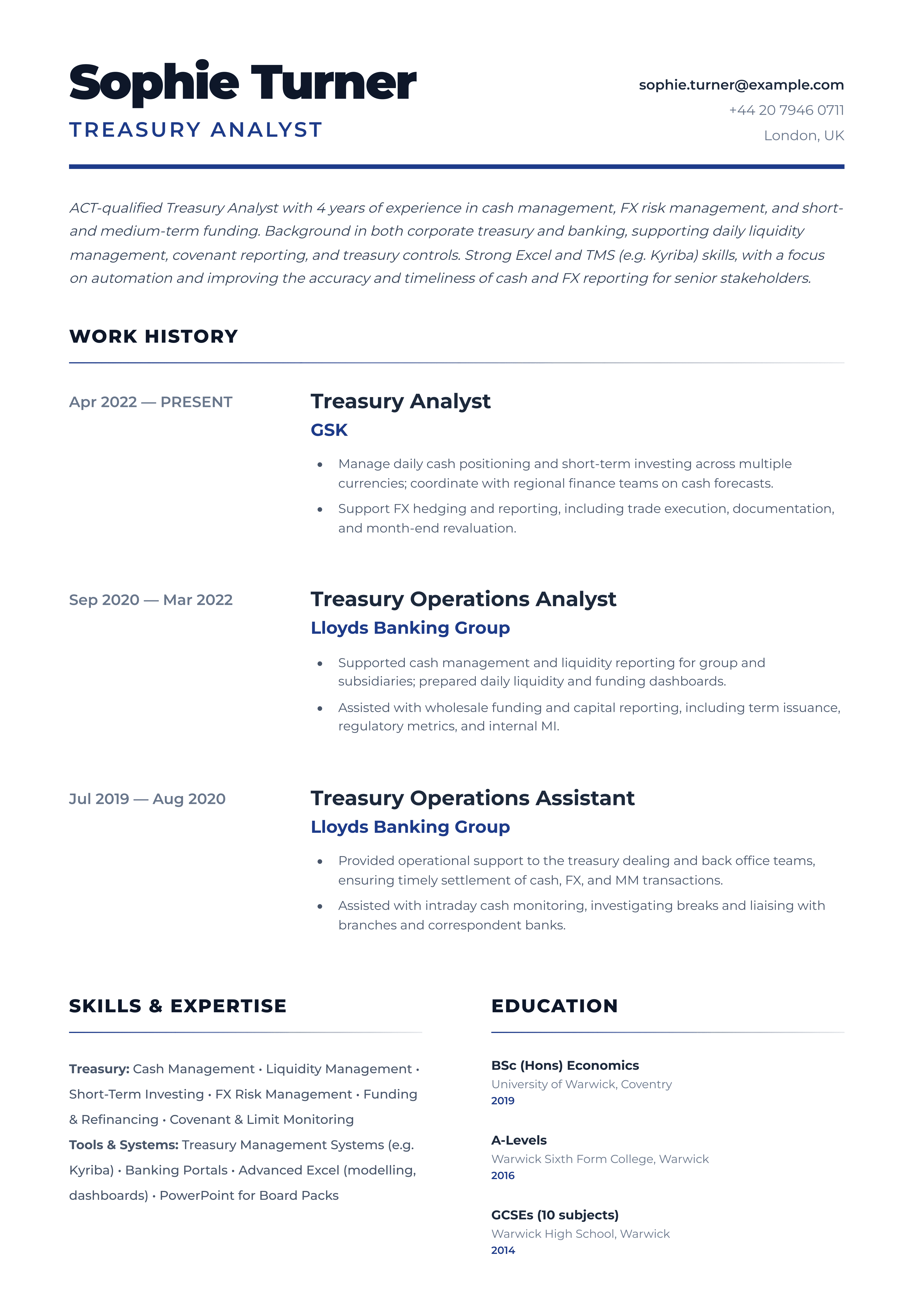 treasury analyst cv template