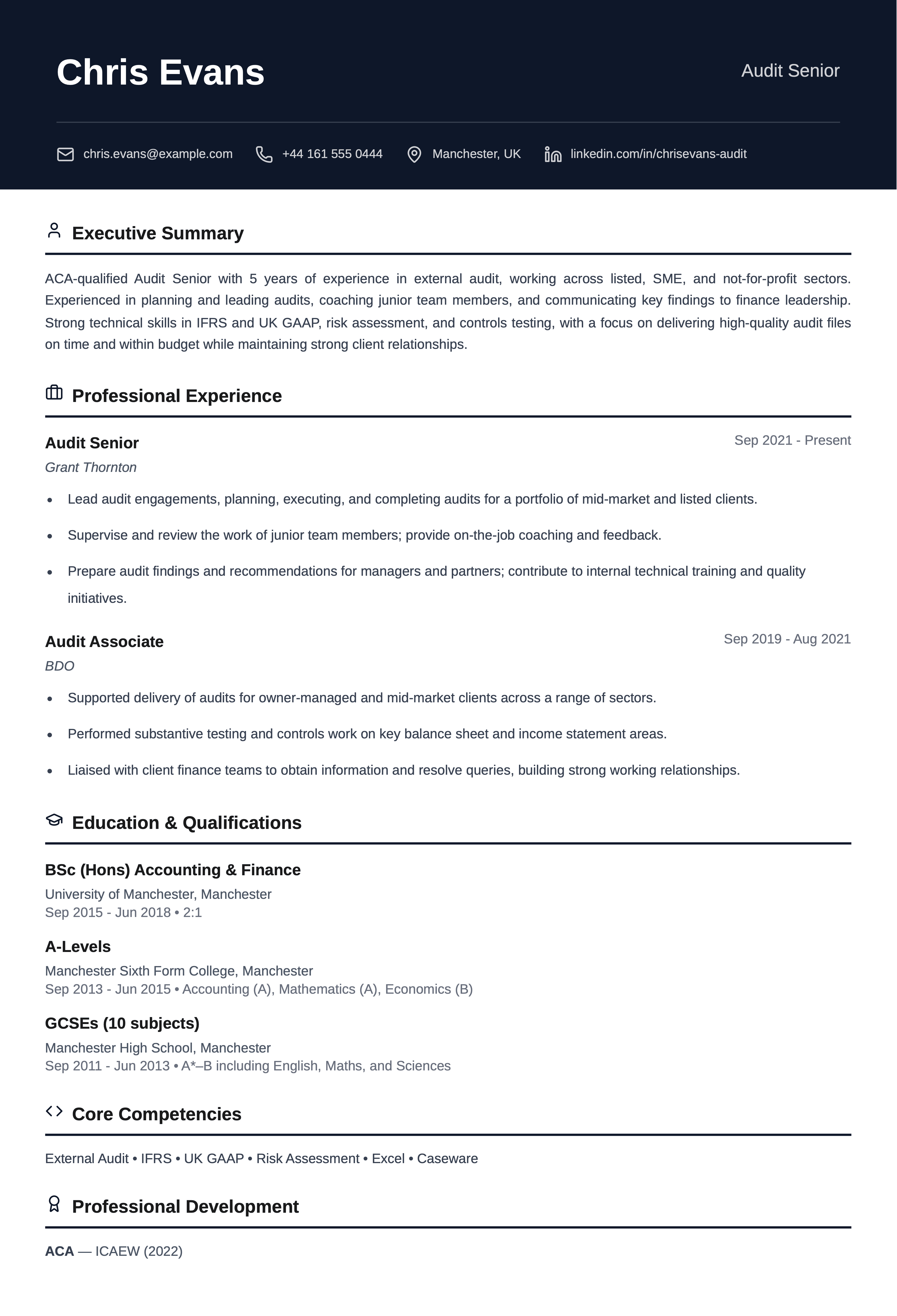 audit senior cv template