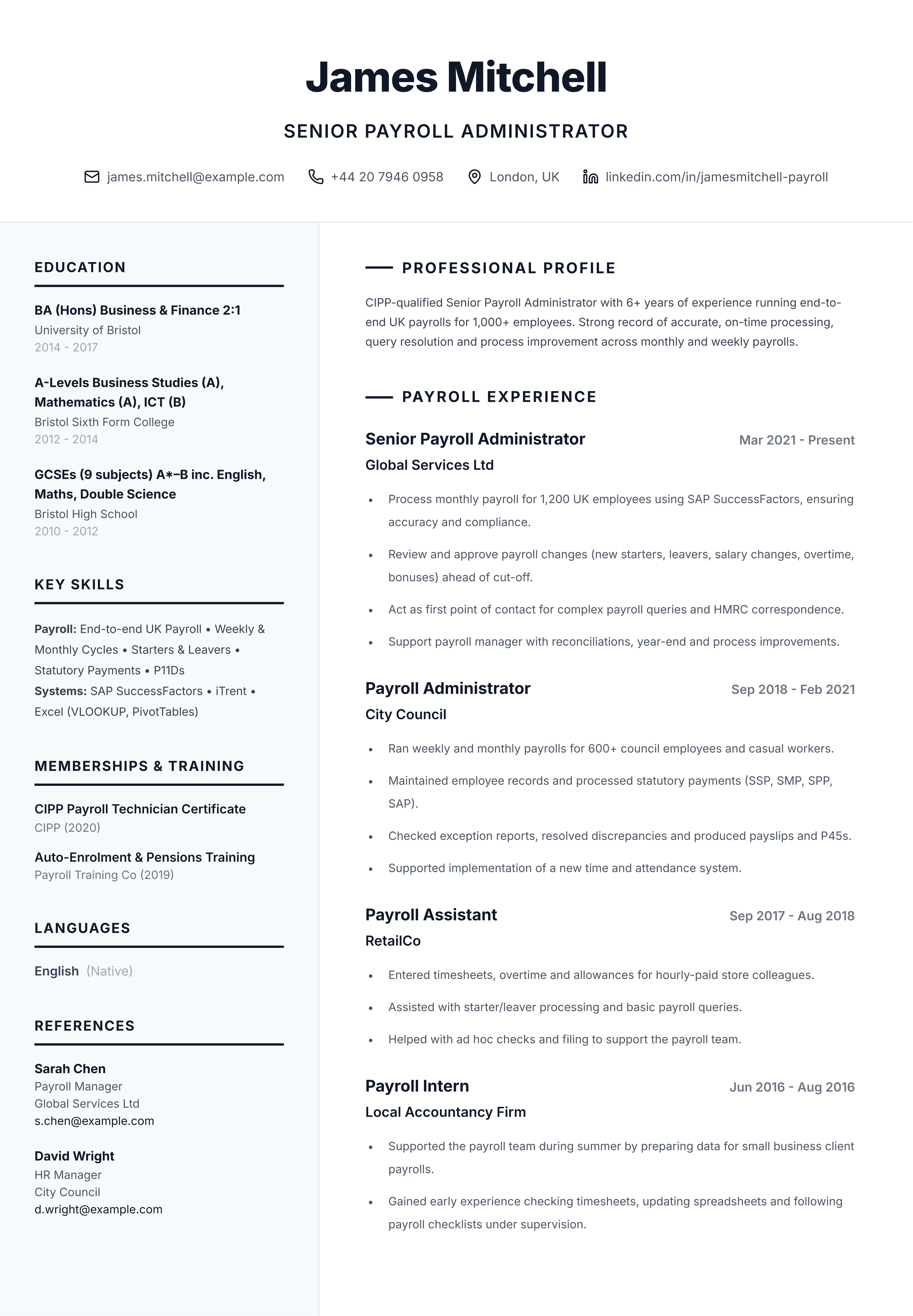 Senior payroll cv template