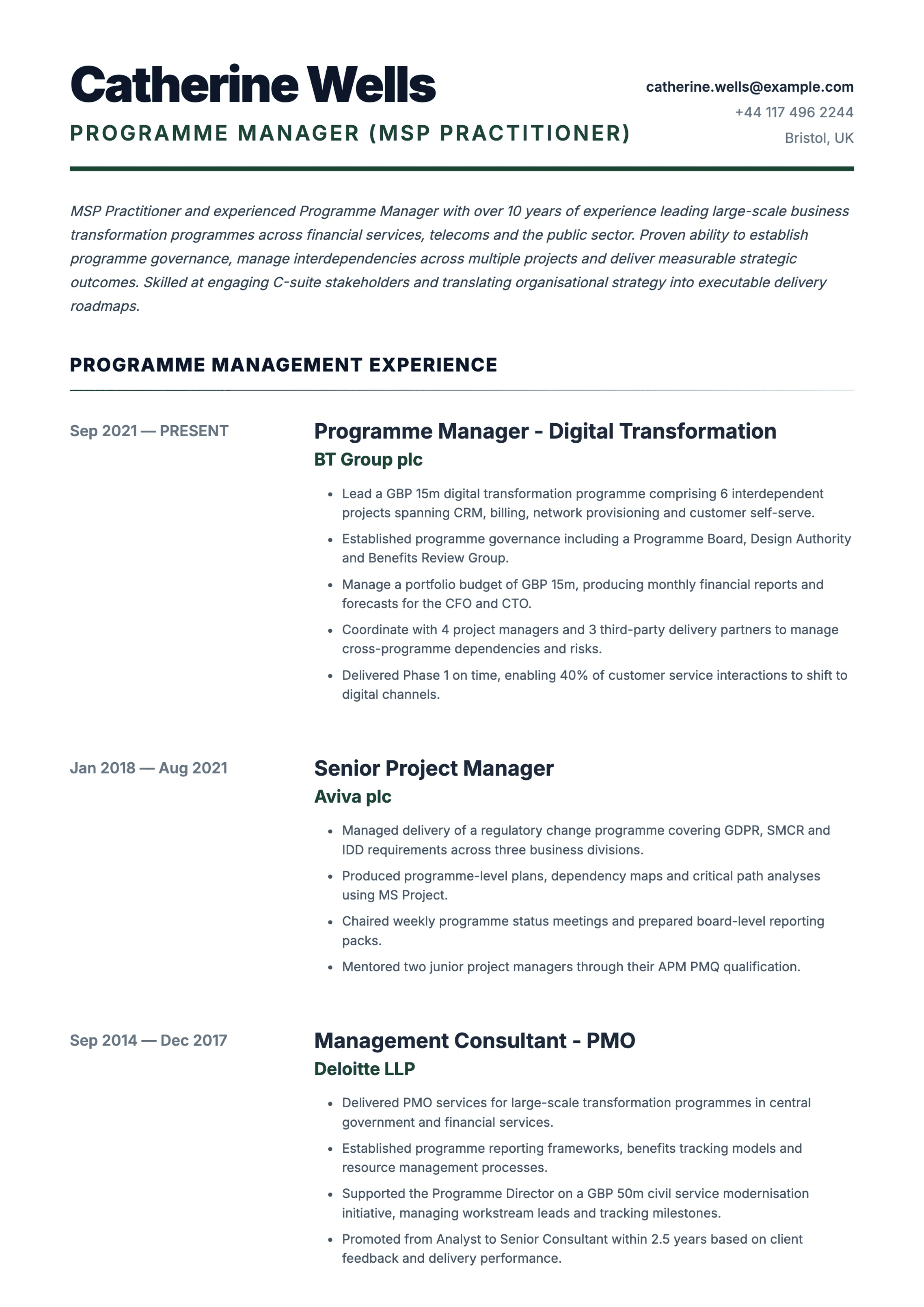 programme manager cv template
