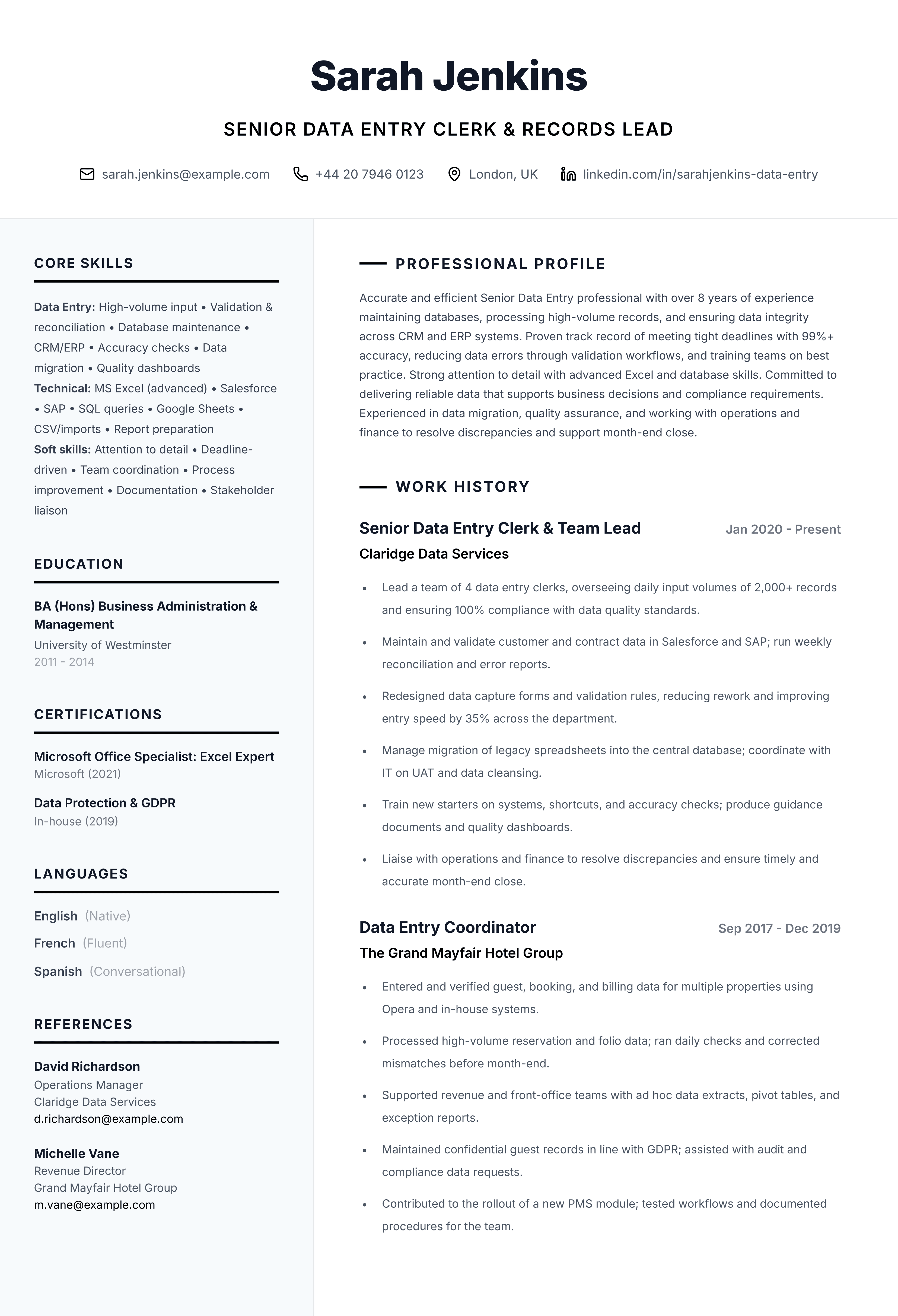 Senior Data Entry Pro template