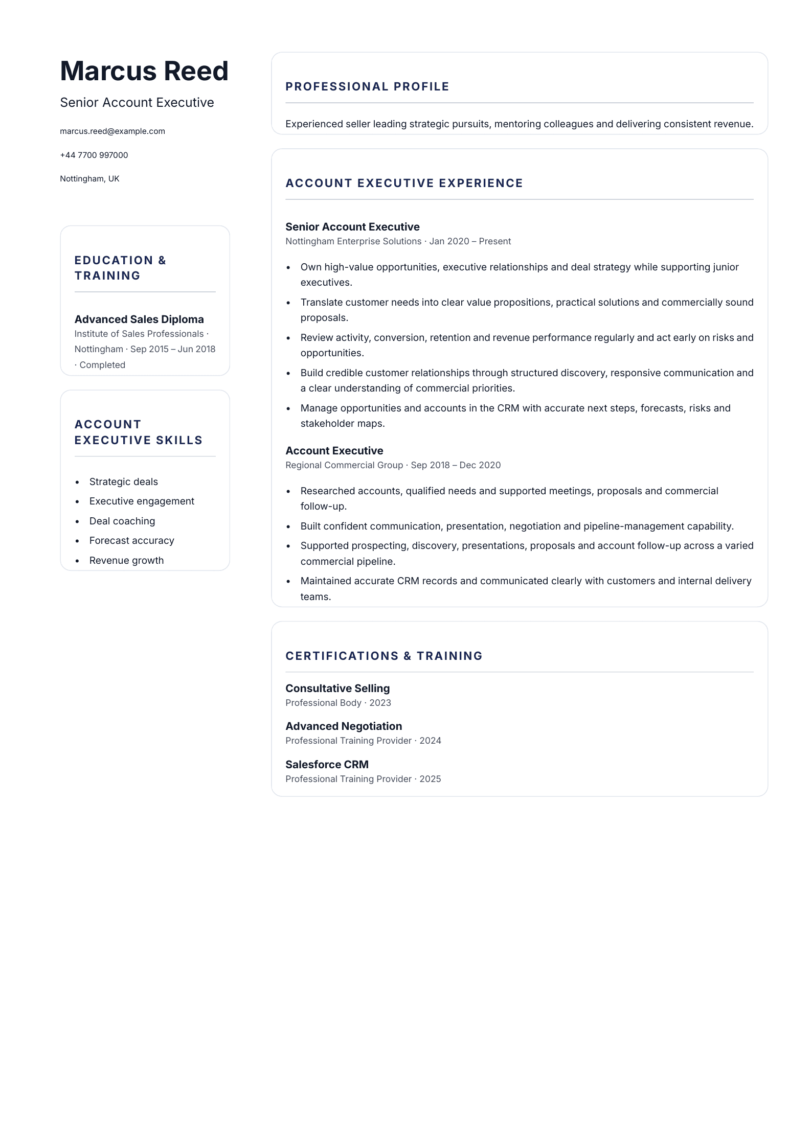 Senior Account Executive CV template