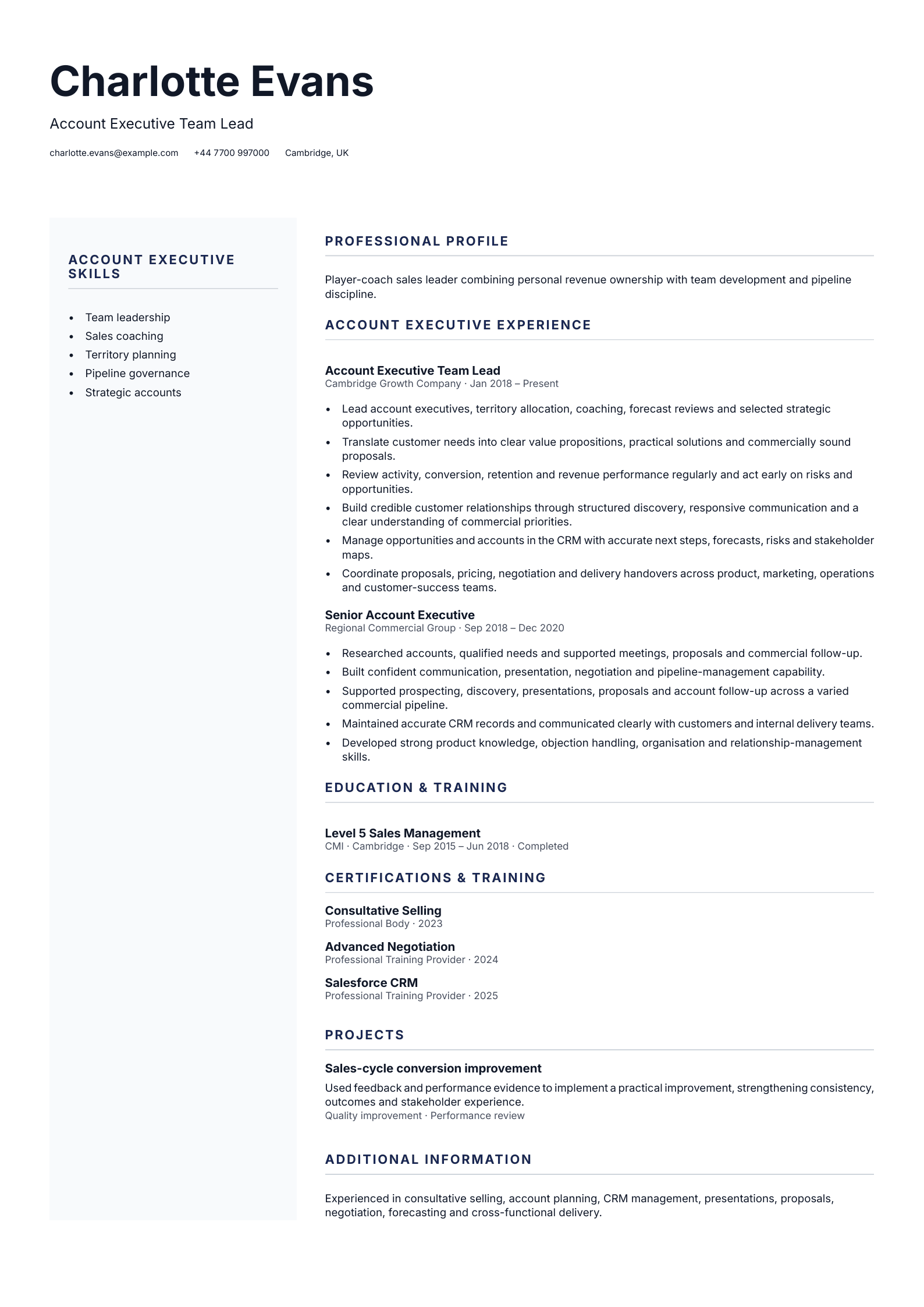 Account Executive Team Lead CV template