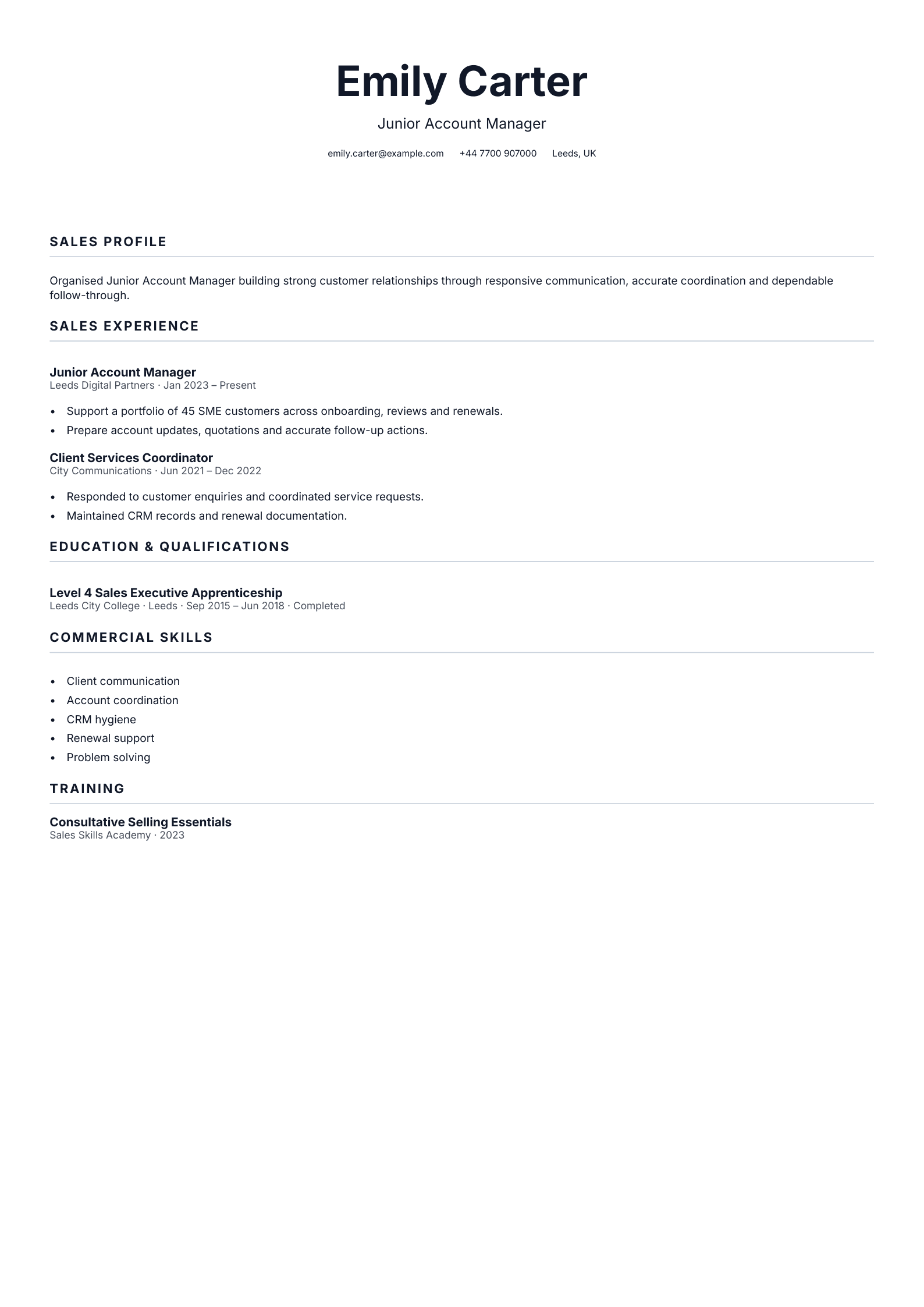 Junior Account Manager CV template