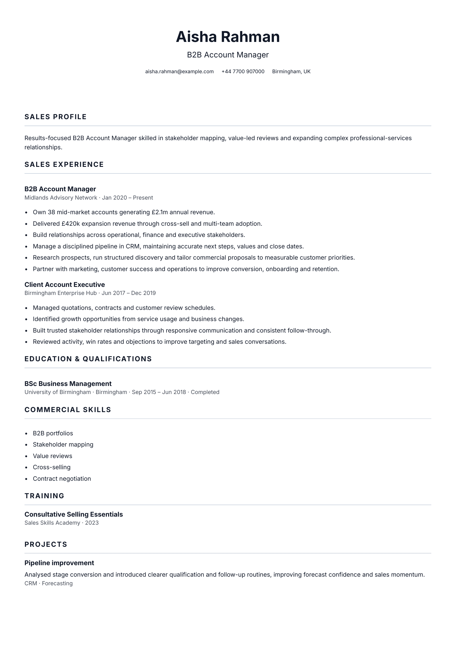 B2B Account Manager CV template