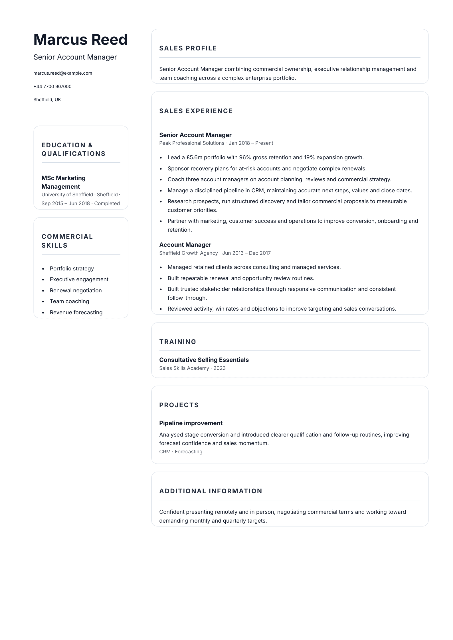 Senior Account Manager CV template