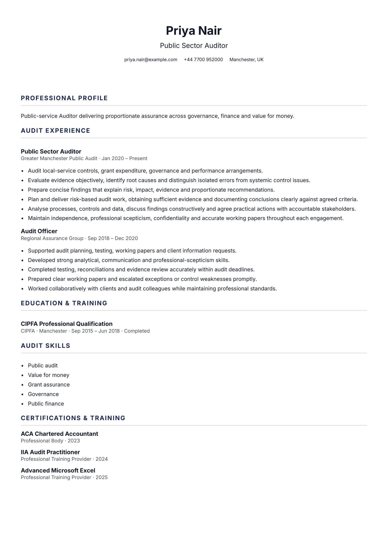 Public Sector Auditor CV template