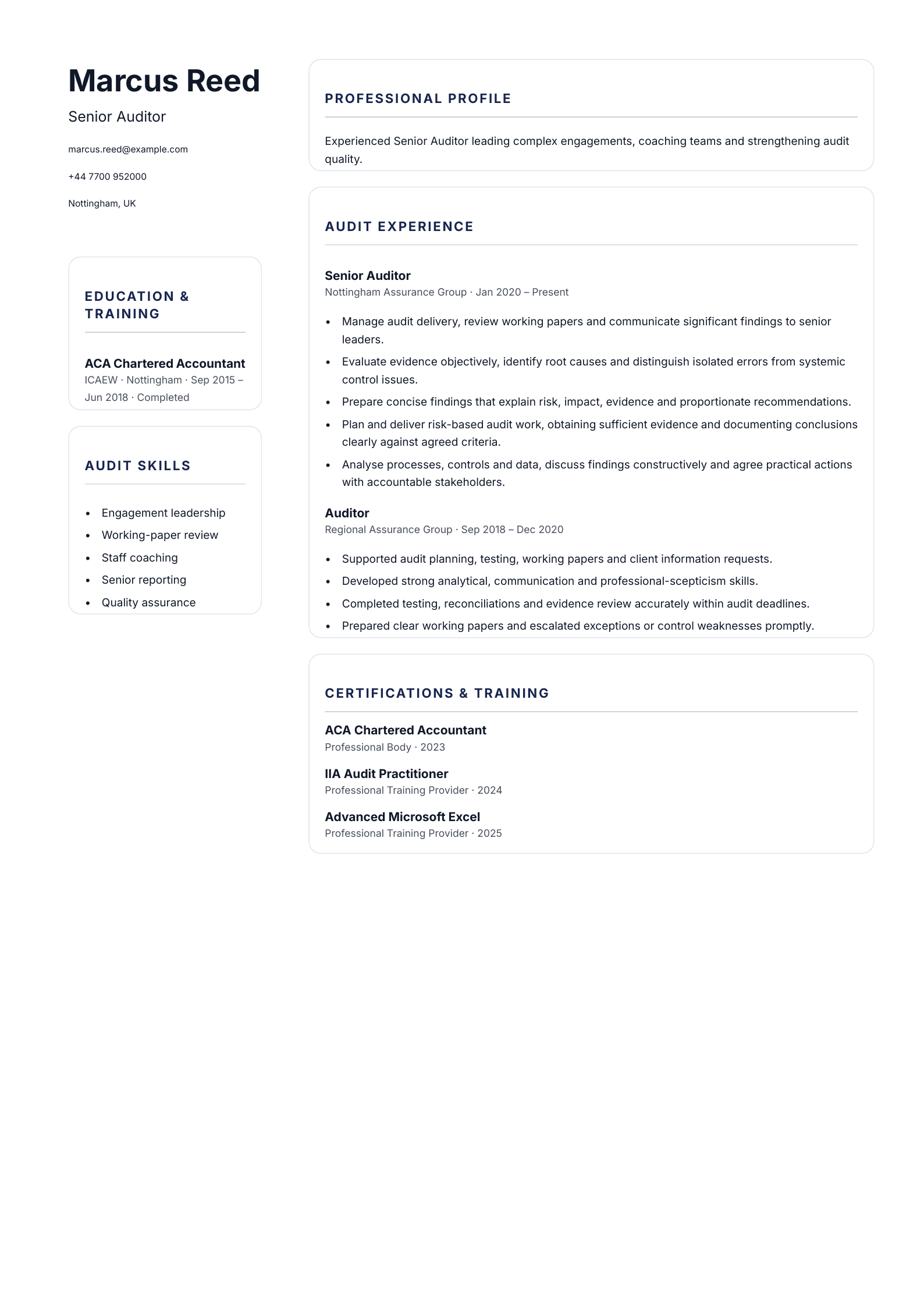 Senior Auditor CV template