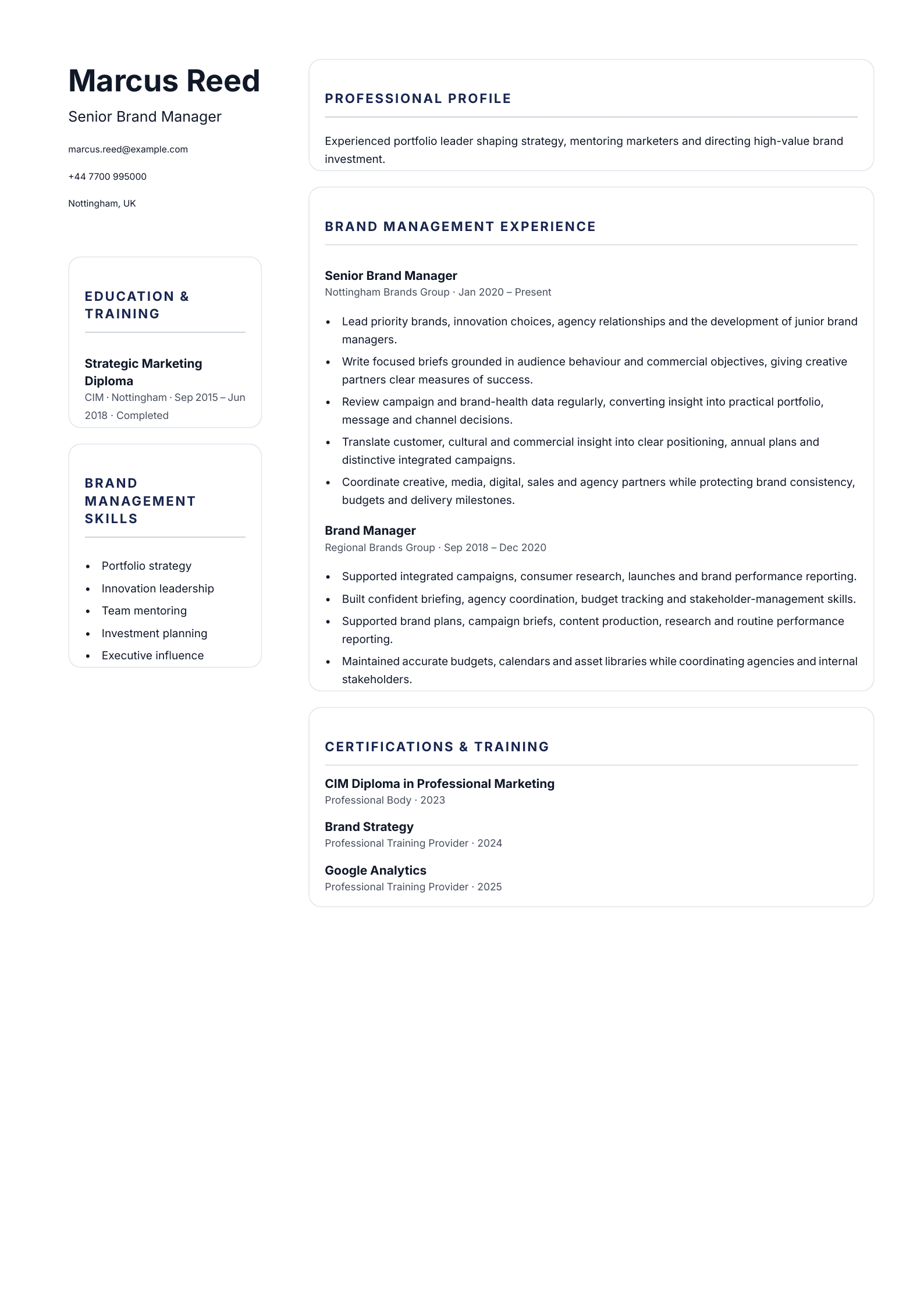 Senior Brand Manager CV template