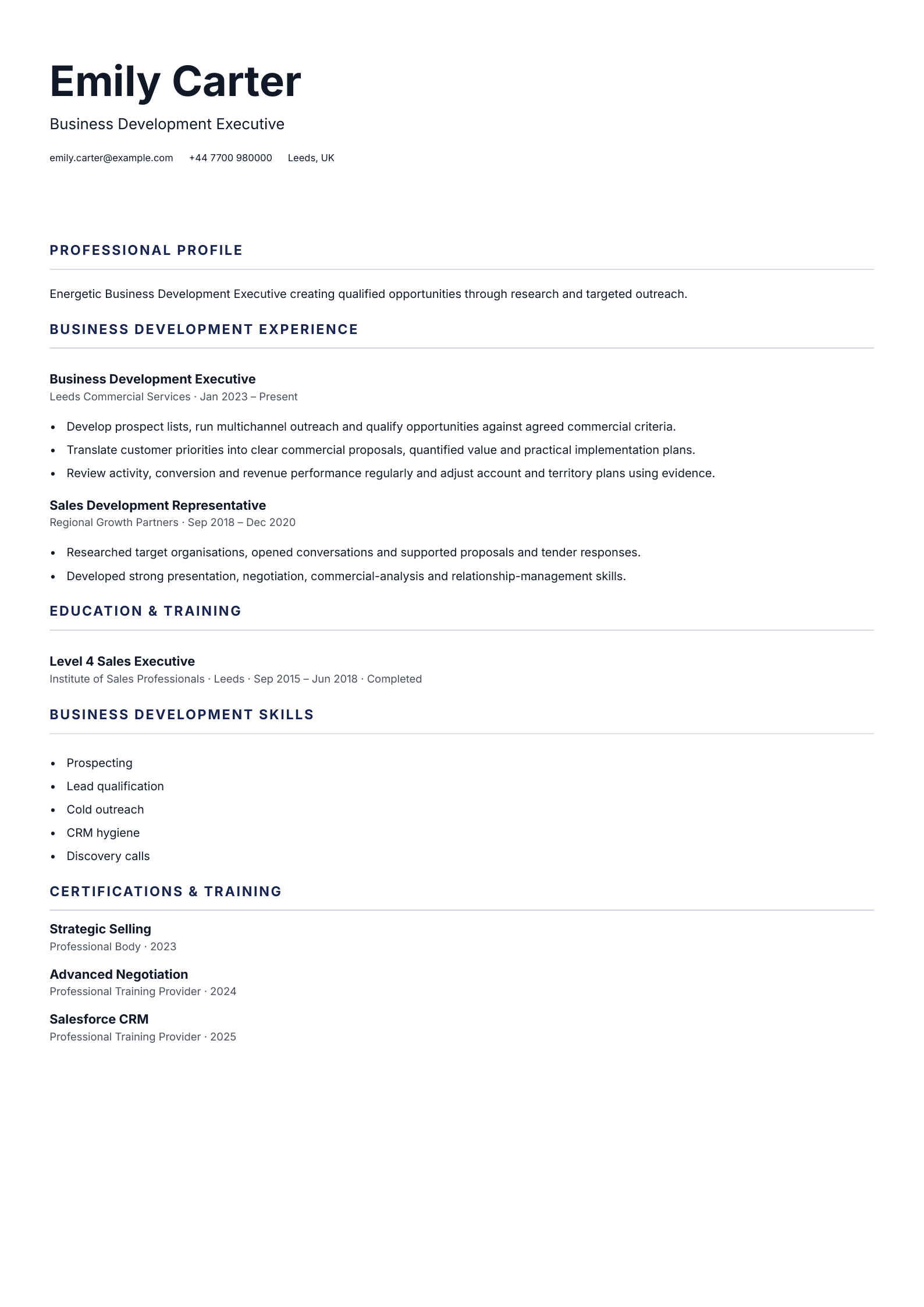 Business Development Executive CV template