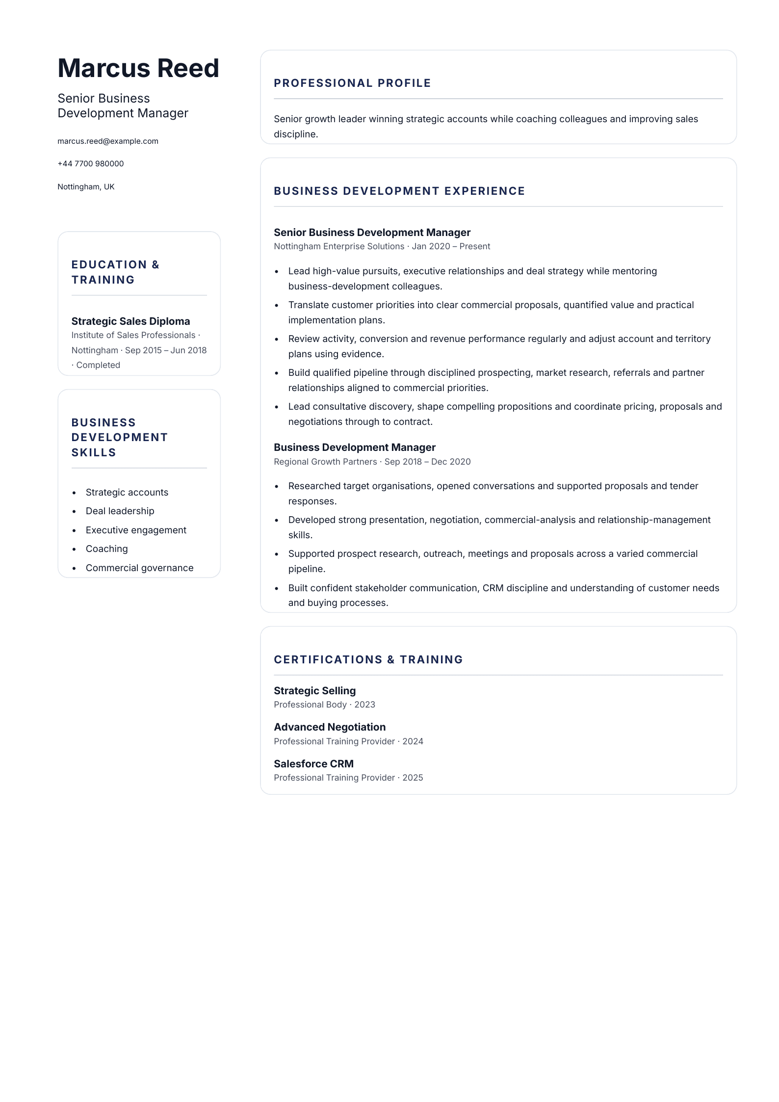 Senior Business Development Manager CV template