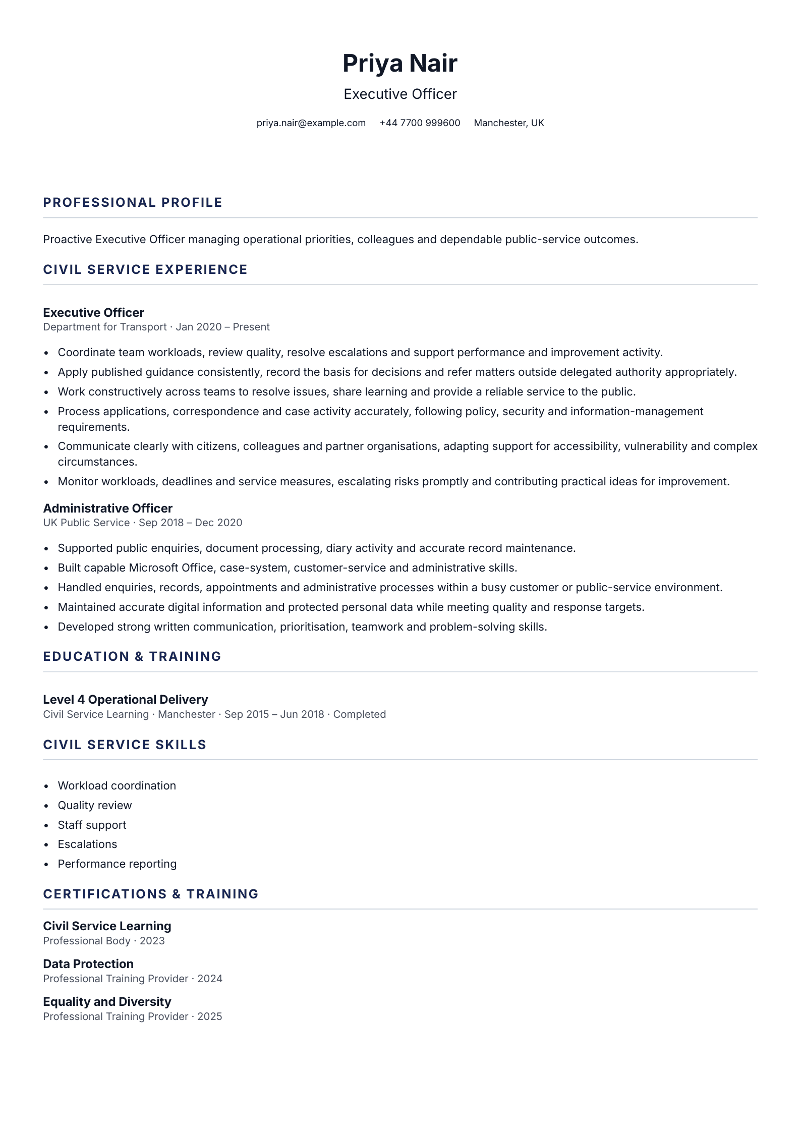 Executive Officer CV template