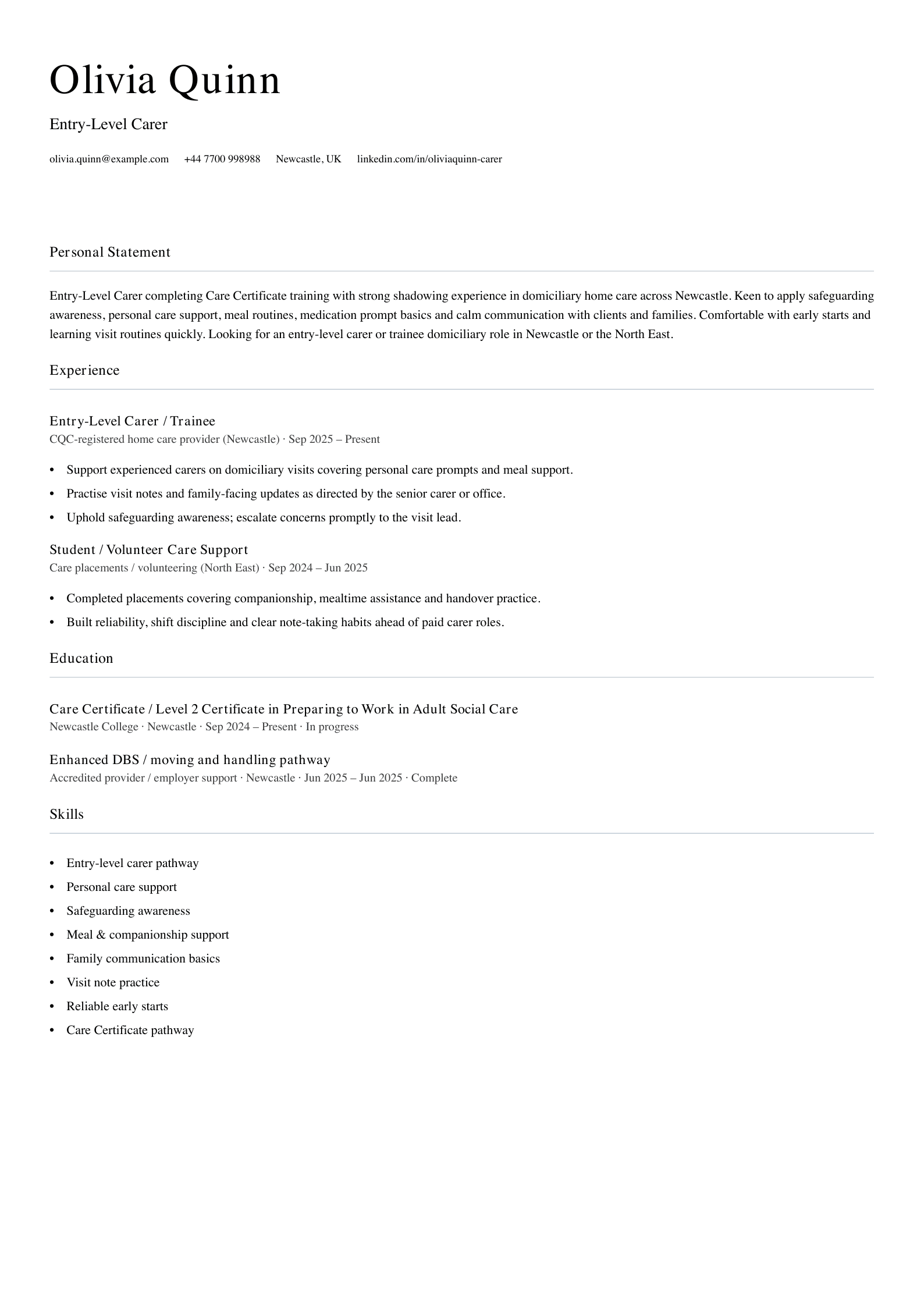 entry level carer cv template