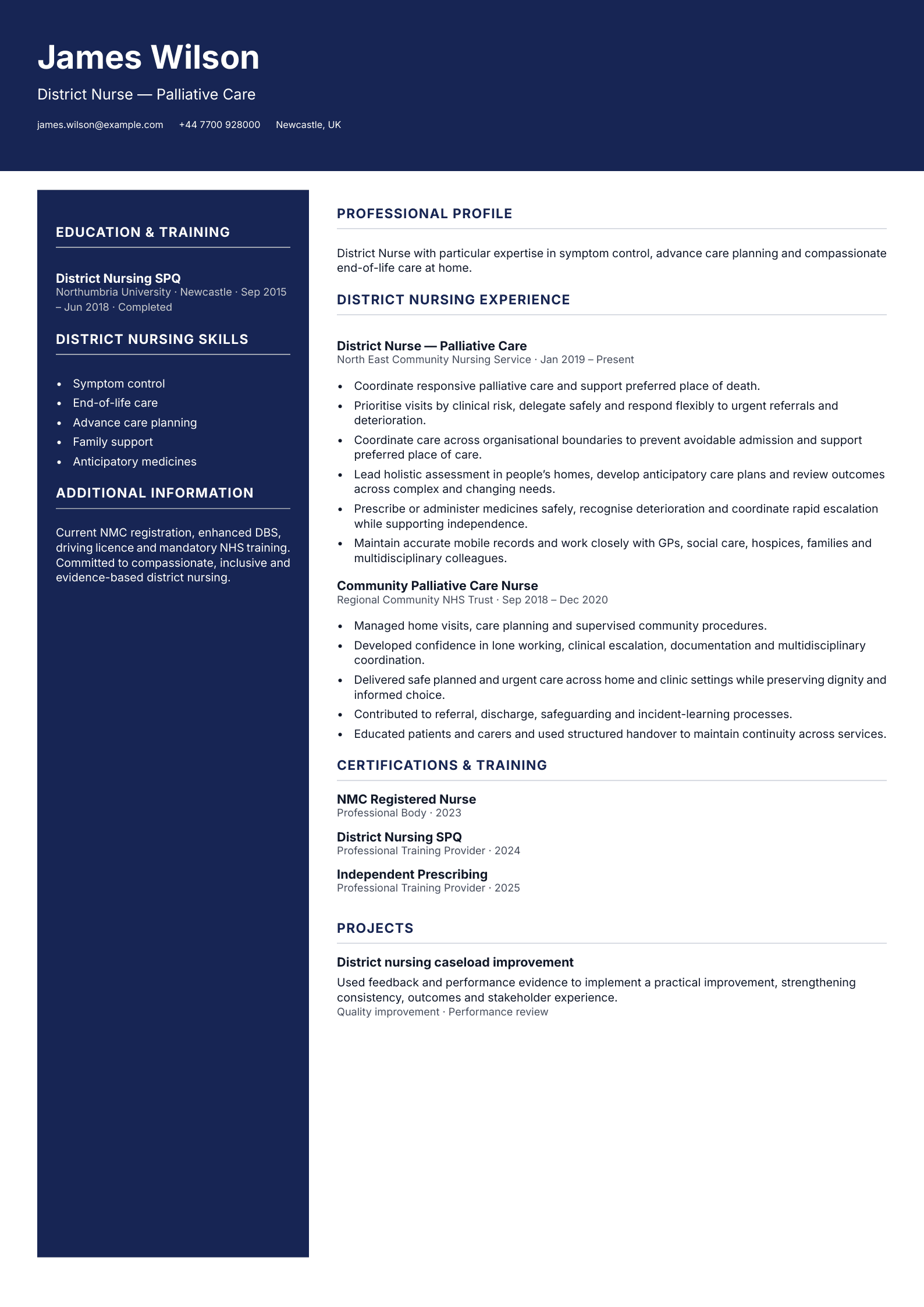 District Nurse — Palliative Care CV template