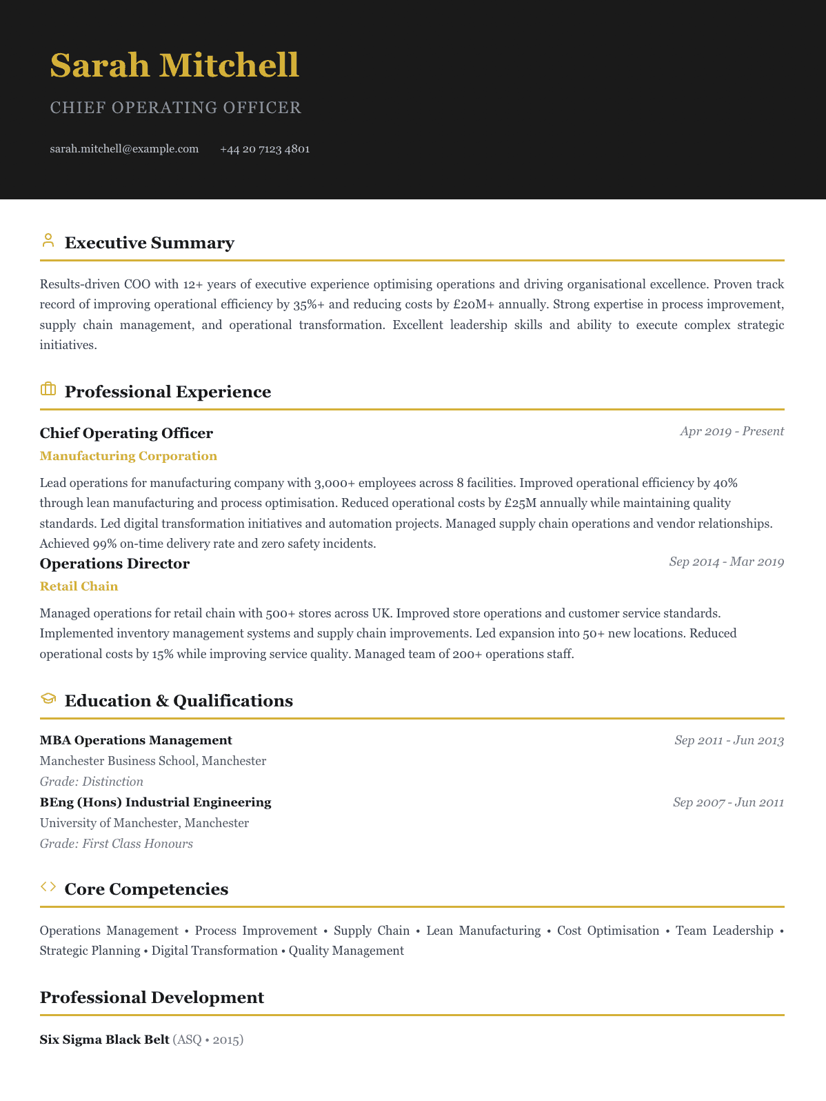 Executive CV template