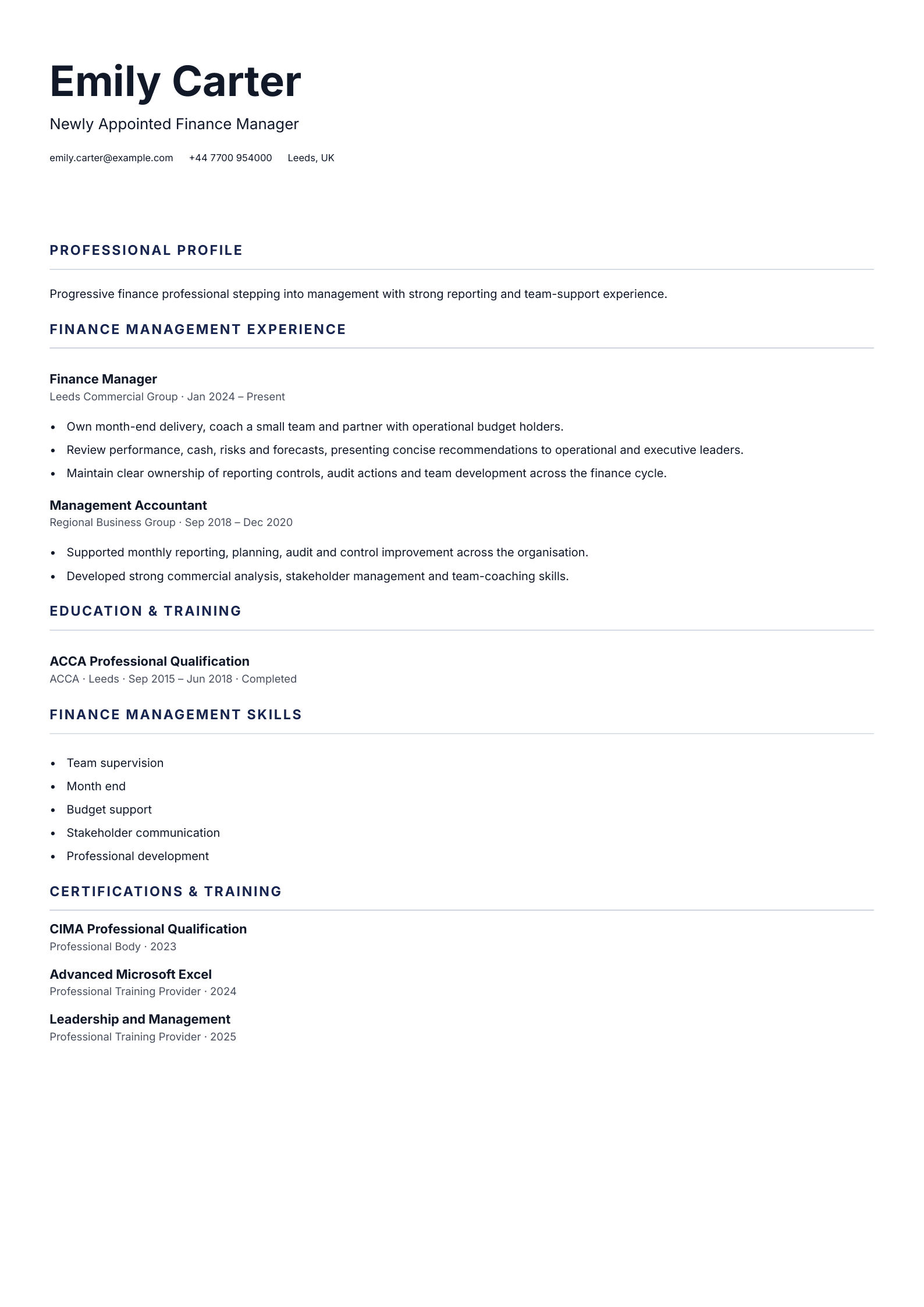 Newly Appointed Finance Manager CV template