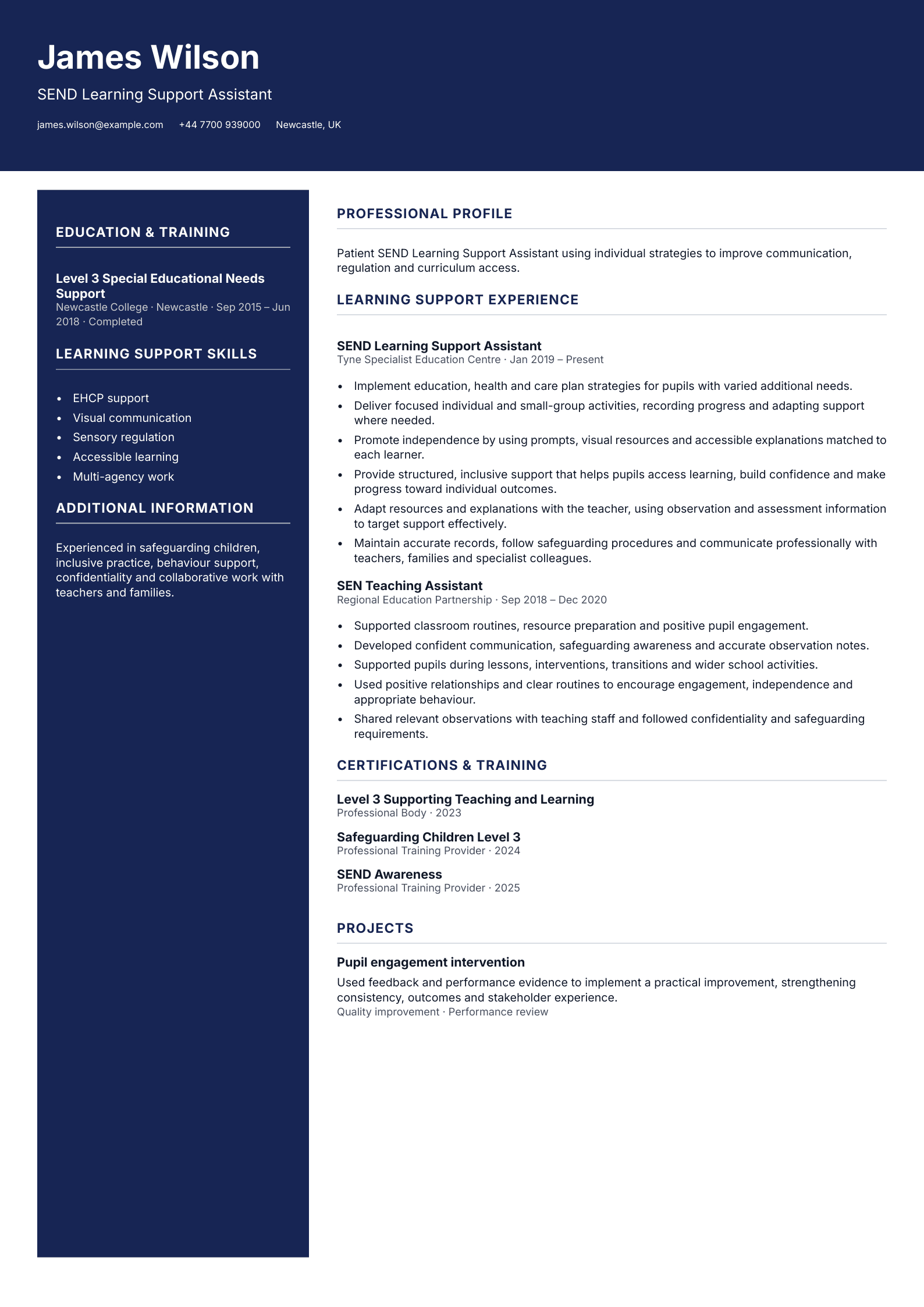 SEND Learning Support Assistant CV template