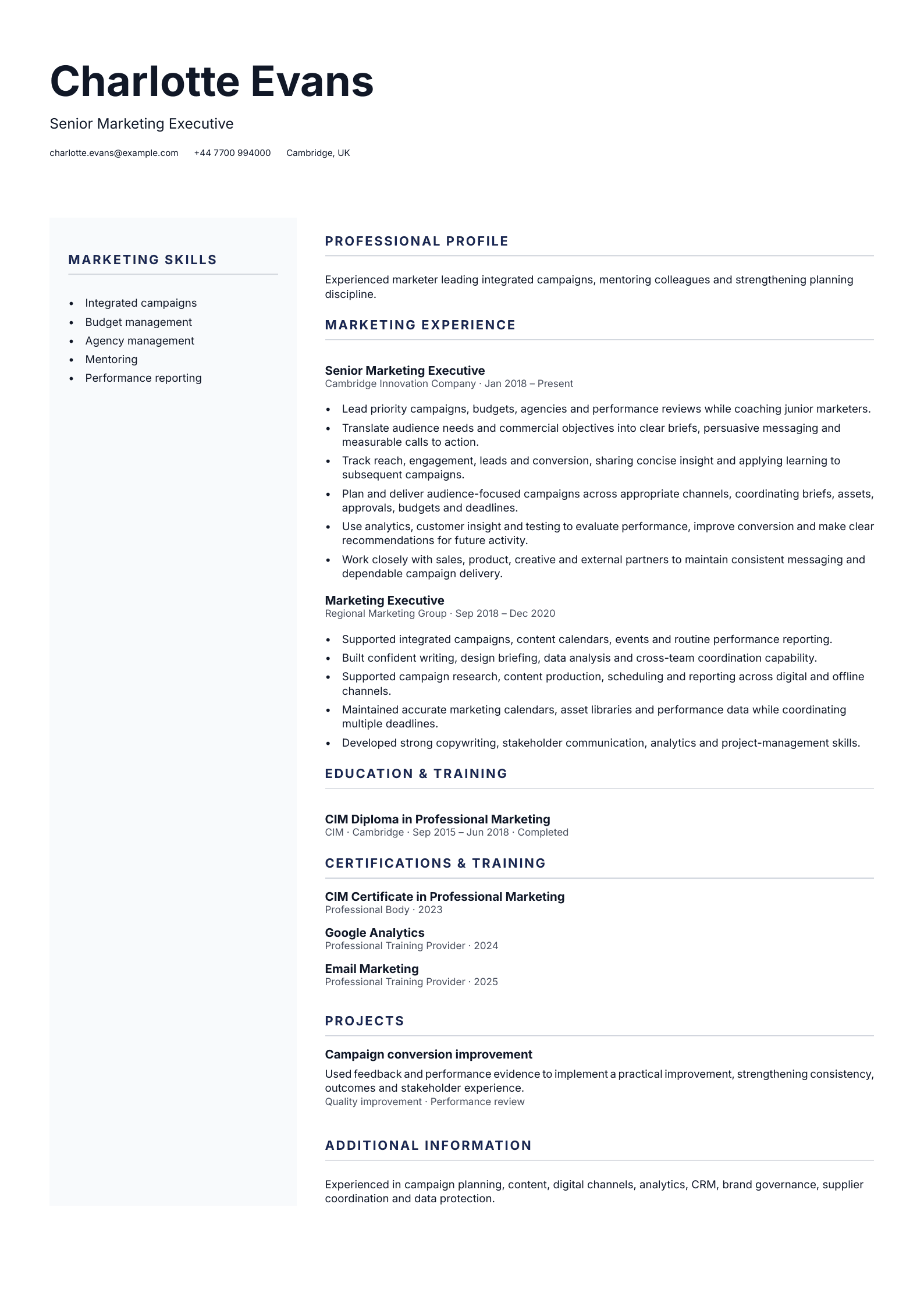 Senior Marketing Executive CV template