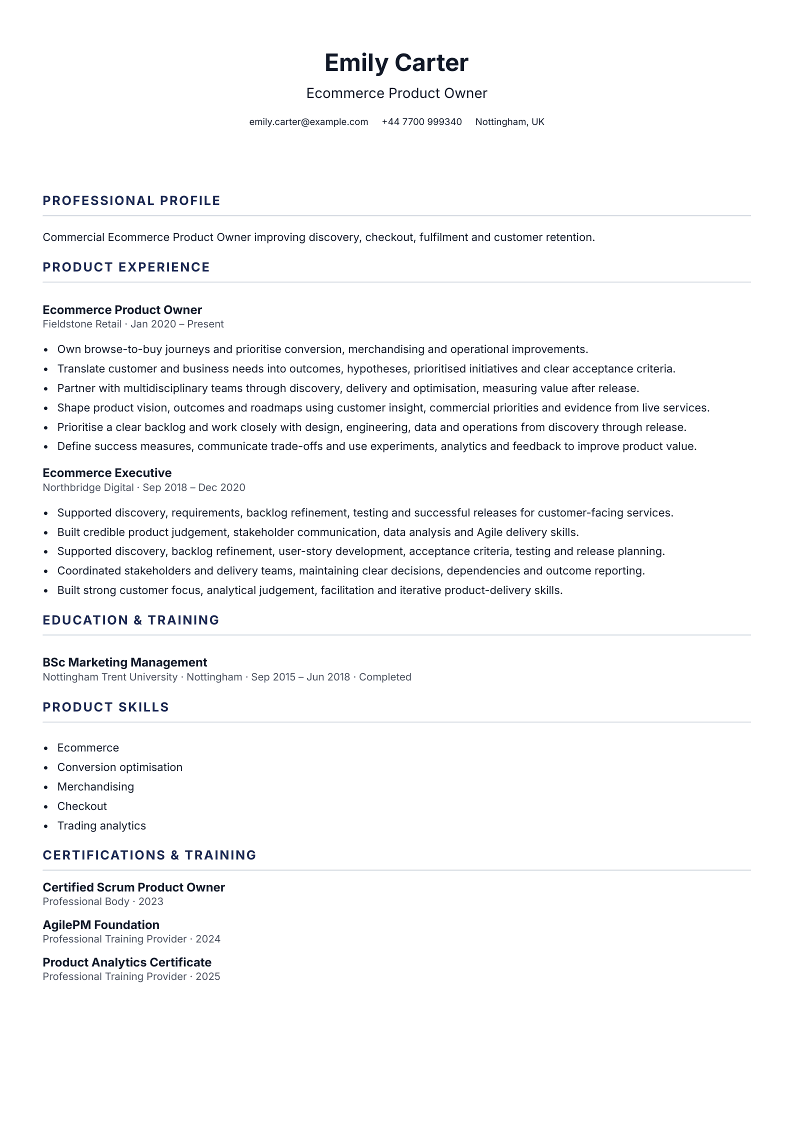 Ecommerce Product Owner CV template