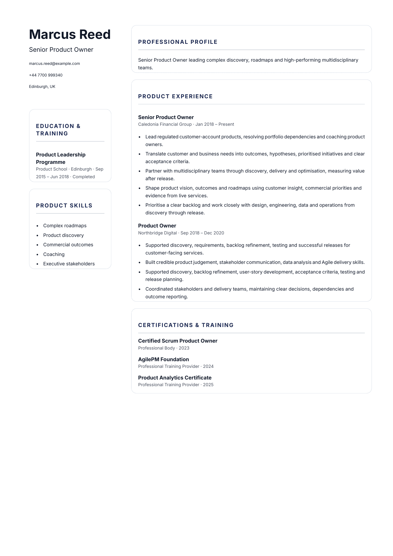 Senior Product Owner CV template