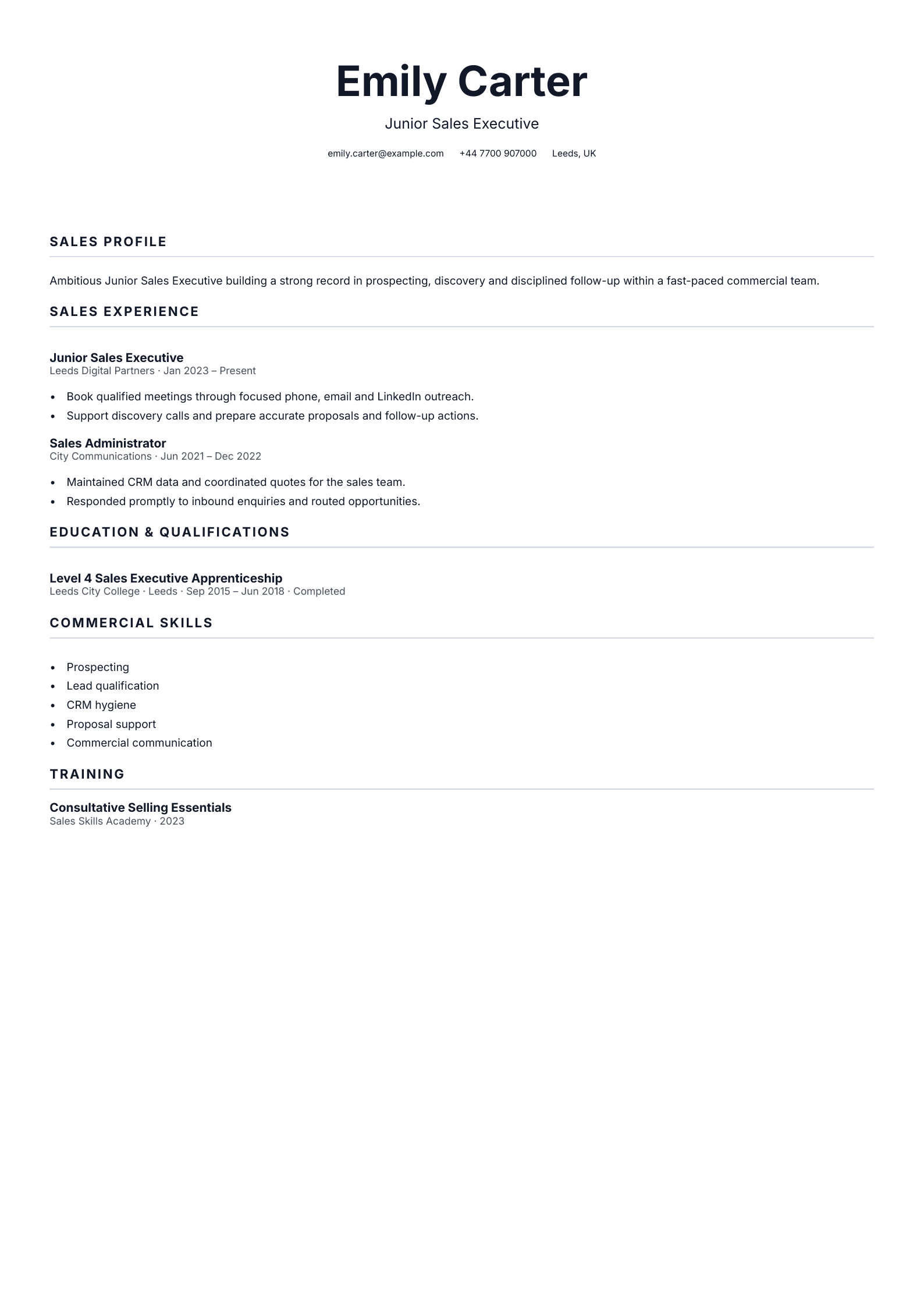 Junior Sales Executive CV template