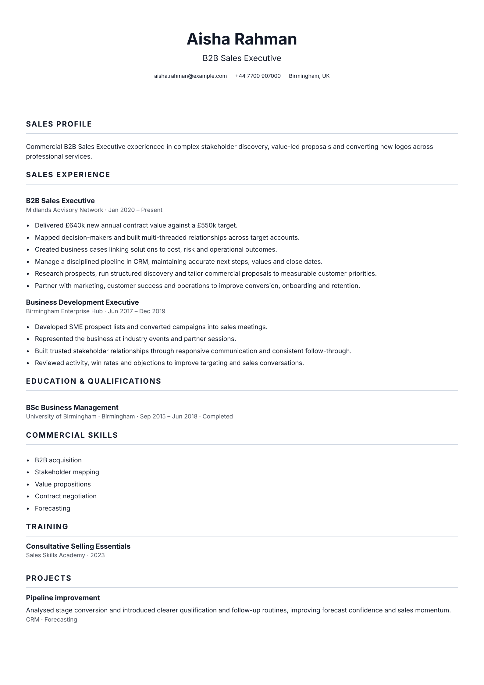 B2B Sales Executive CV template
