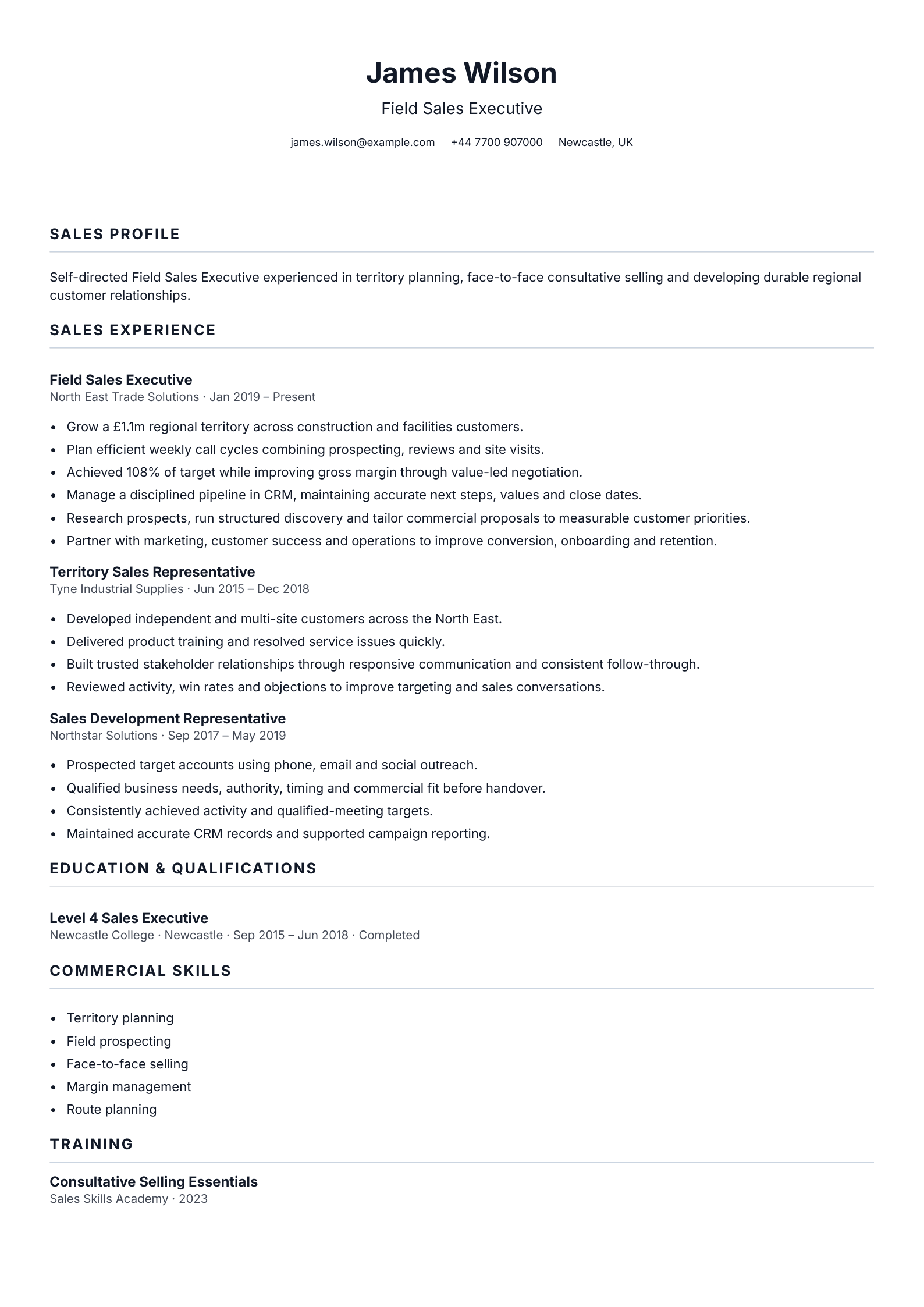 Field Sales Executive CV template