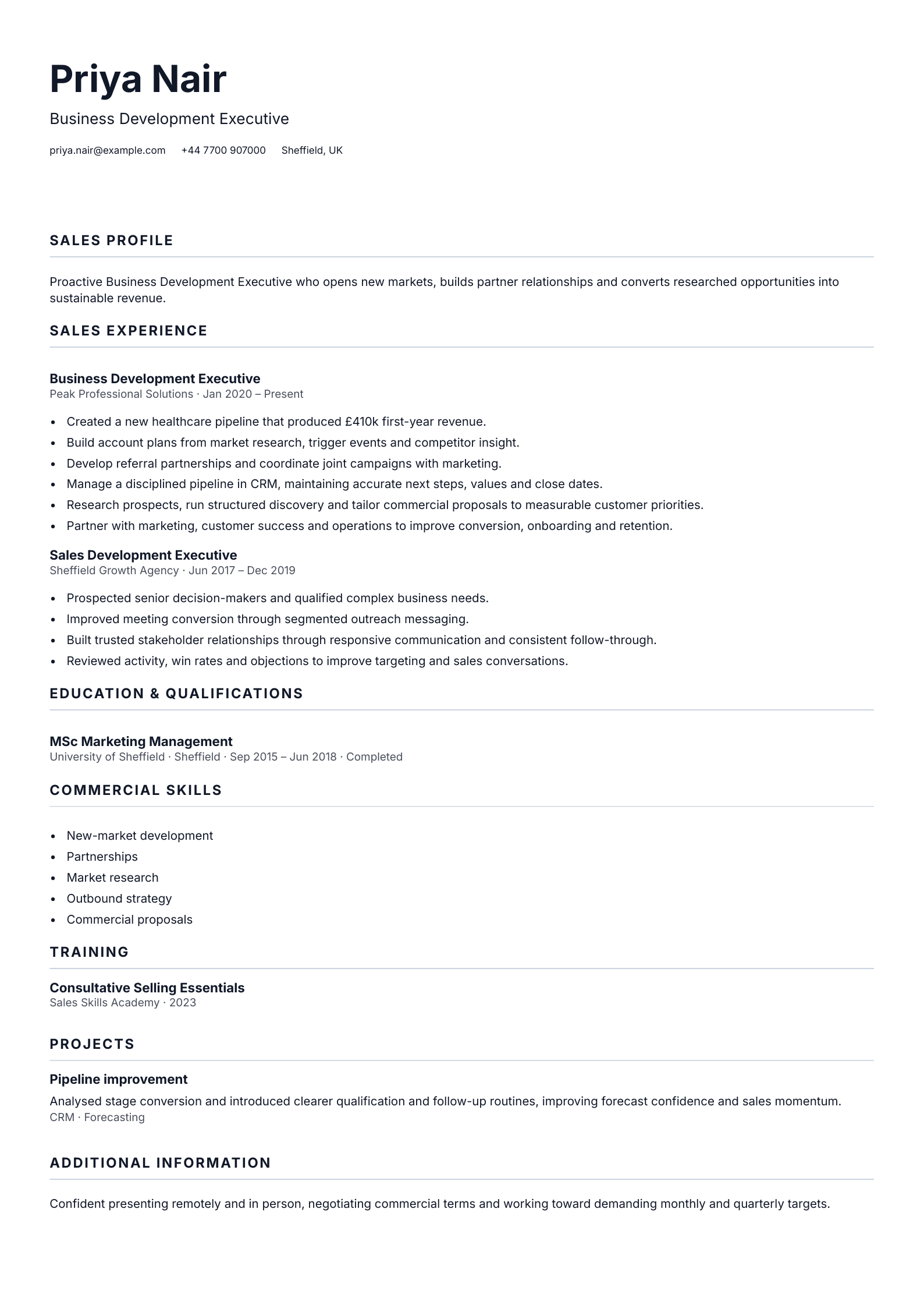 Business Development Executive CV template
