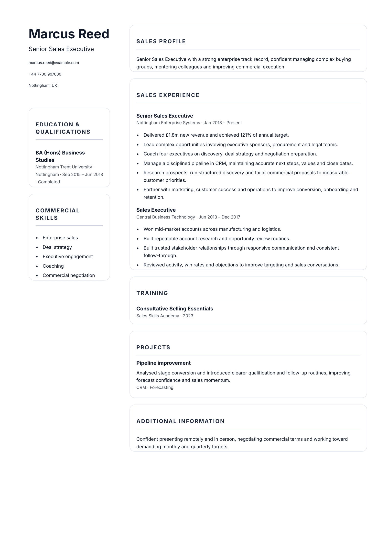 Senior Sales Executive CV template