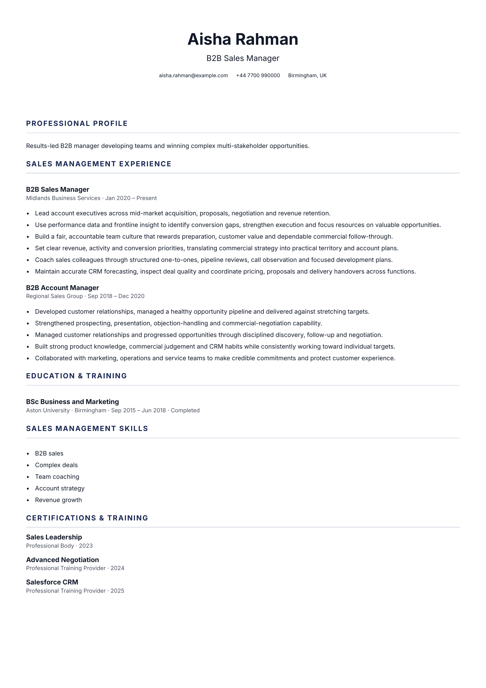 B2B Sales Manager CV template