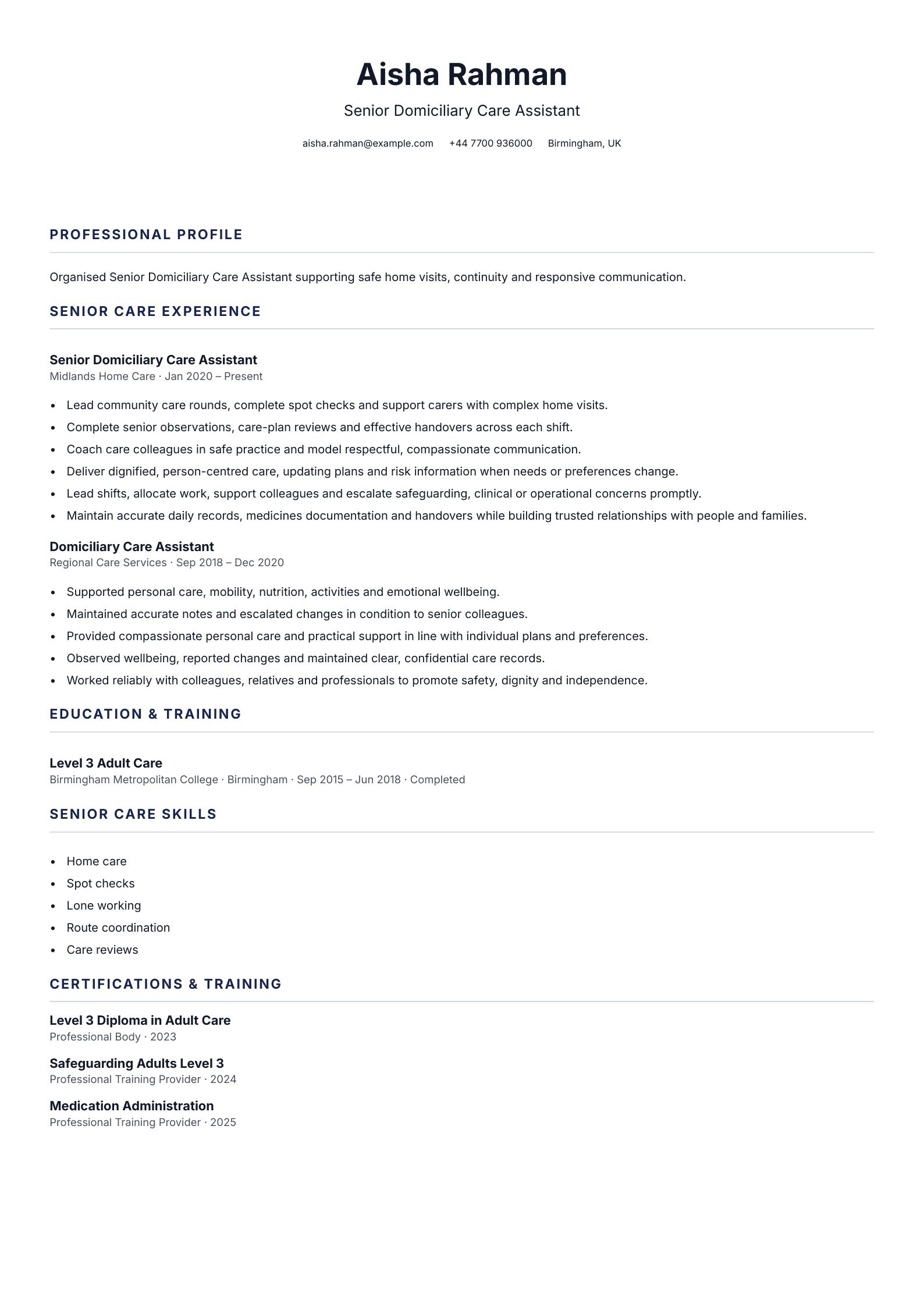 Senior Domiciliary Care Assistant CV template