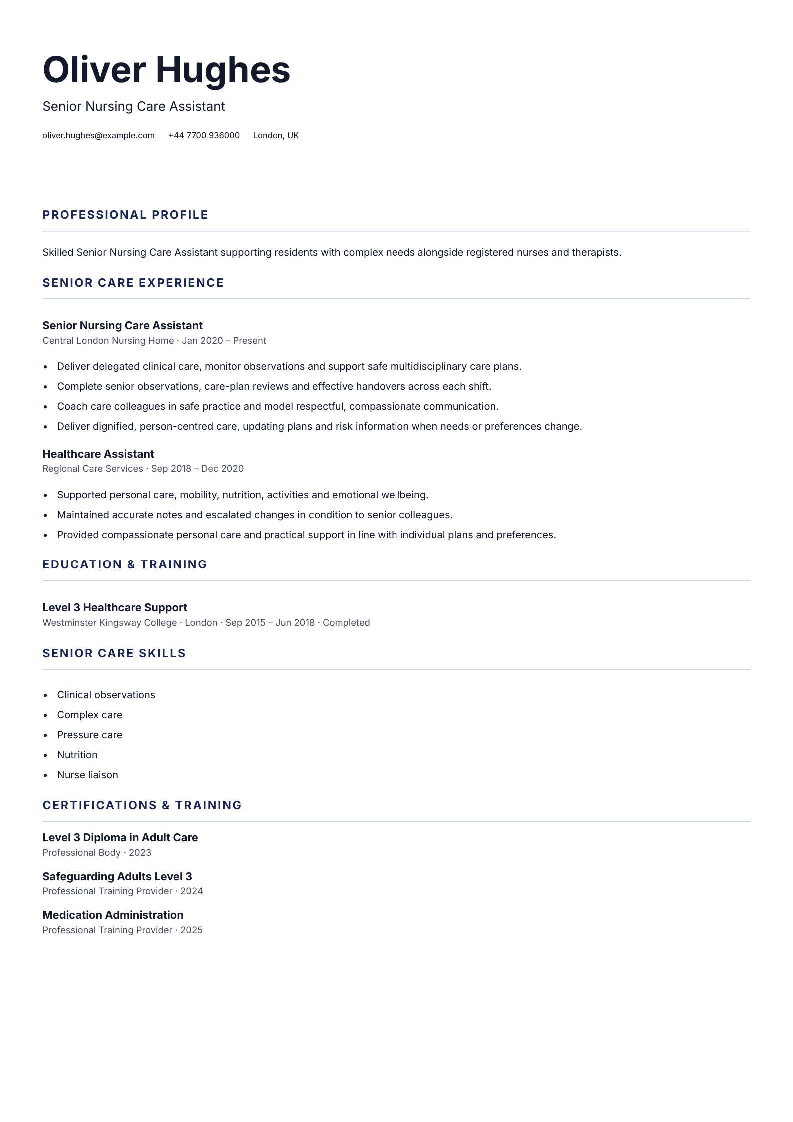 Senior Nursing Care Assistant CV template