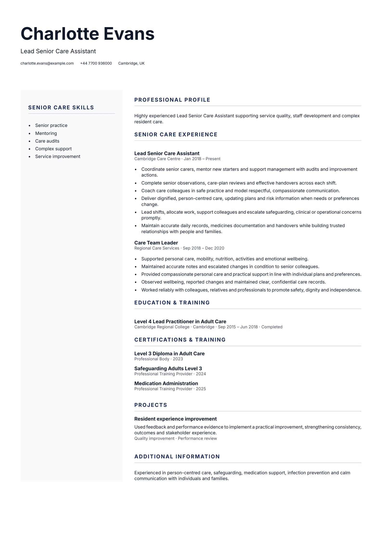 Lead Senior Care Assistant CV template