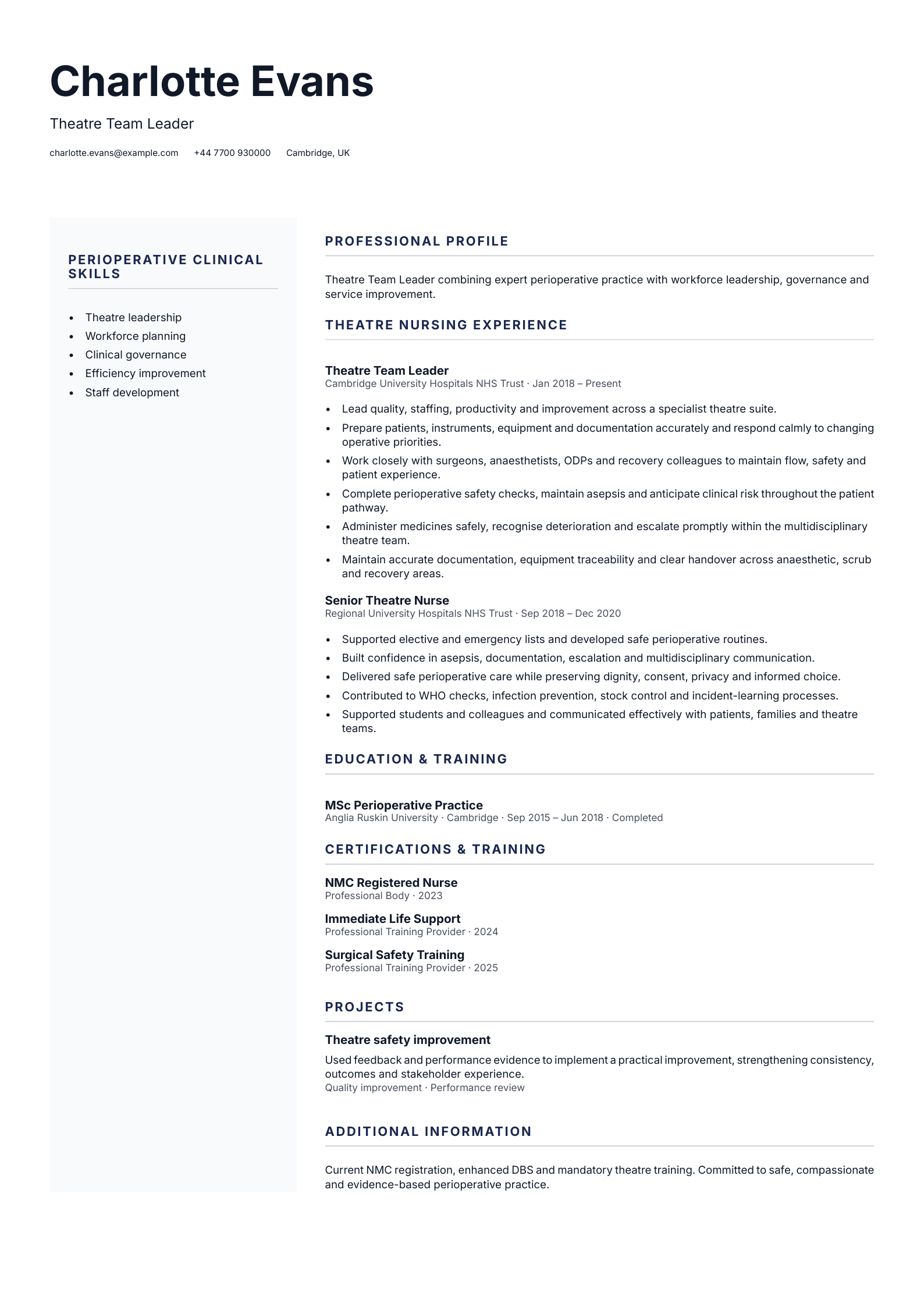 Theatre Team Leader CV template