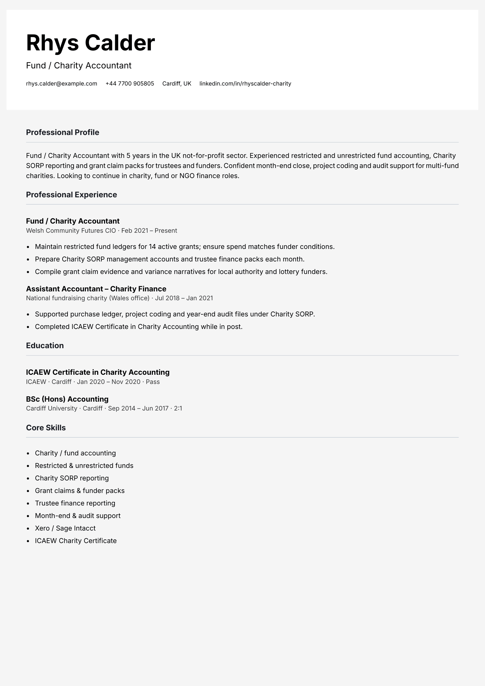 charity fund accountant cv template