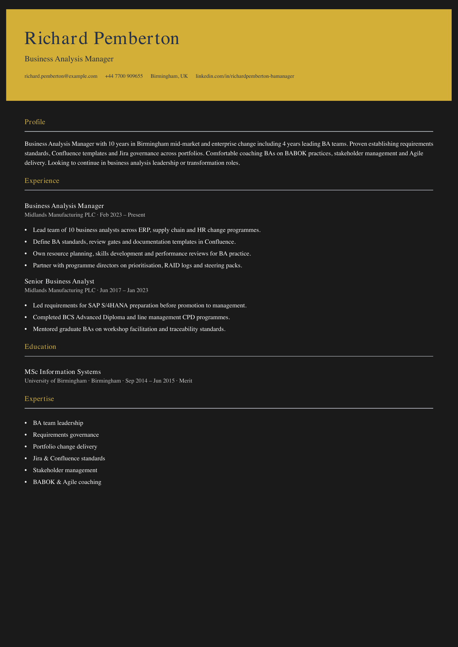 business analysis manager cv template