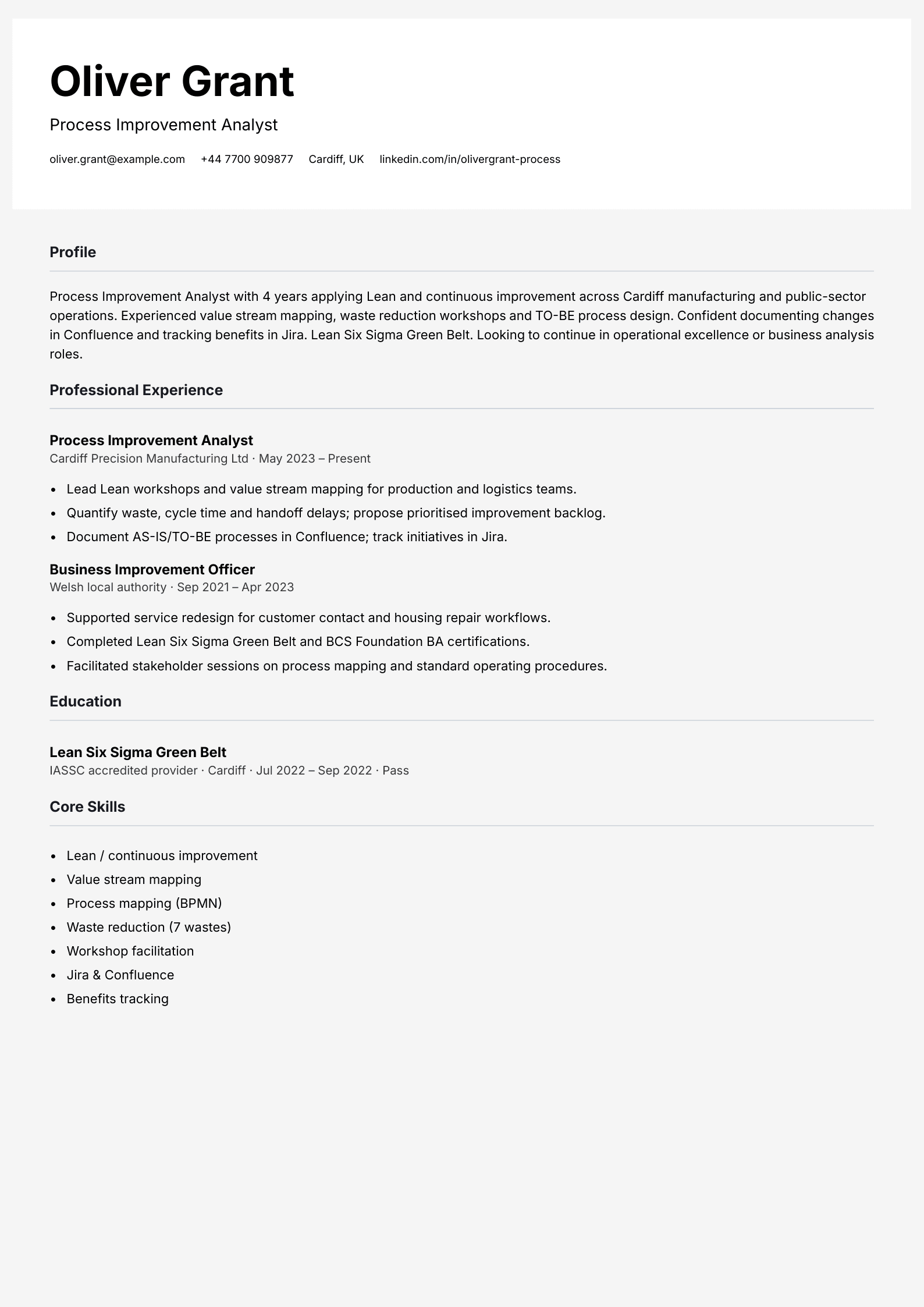 process improvement analyst cv template