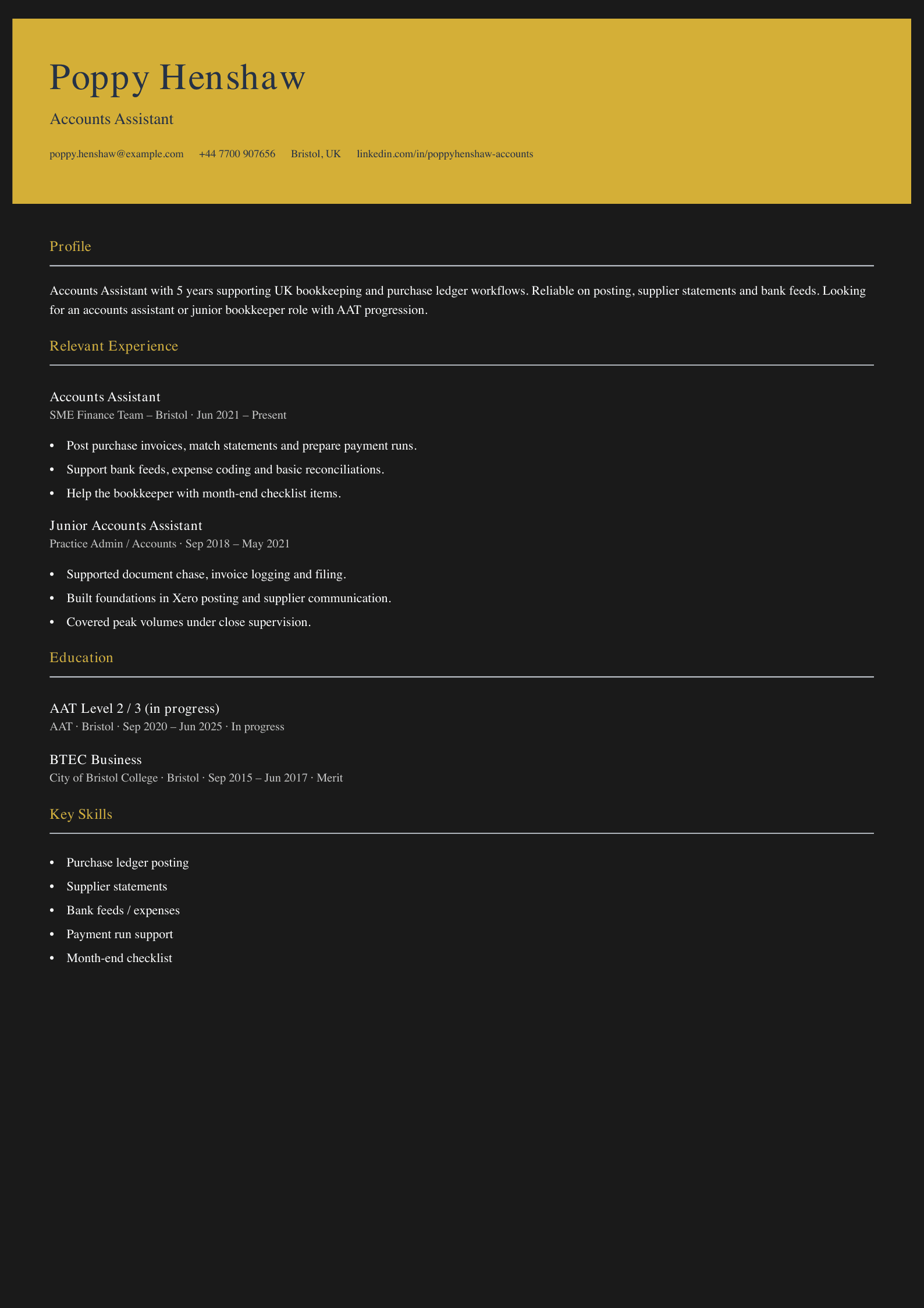 accounts assistant CV template