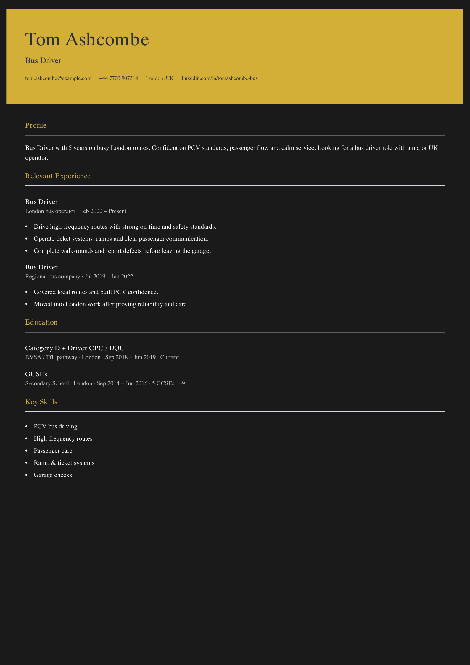 bus driver CV template