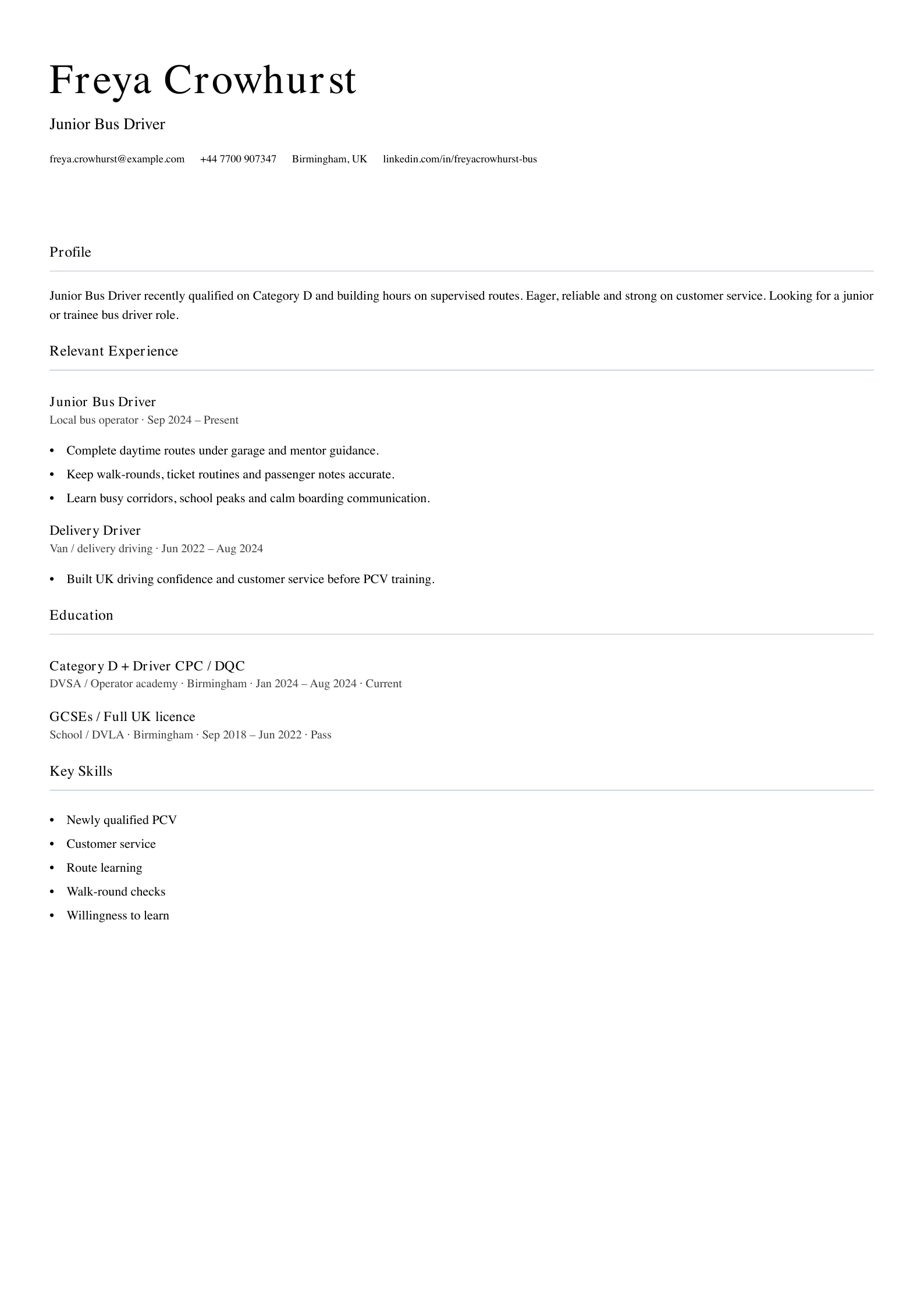 junior bus driver CV template