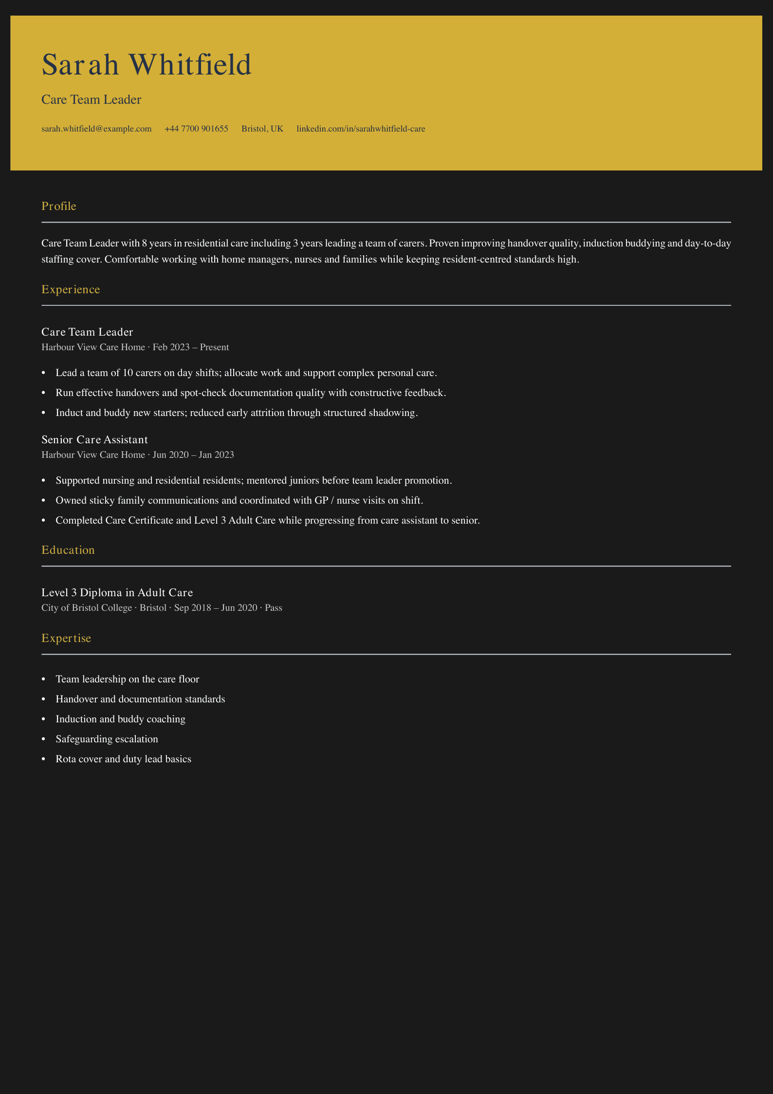 care team leader cv template