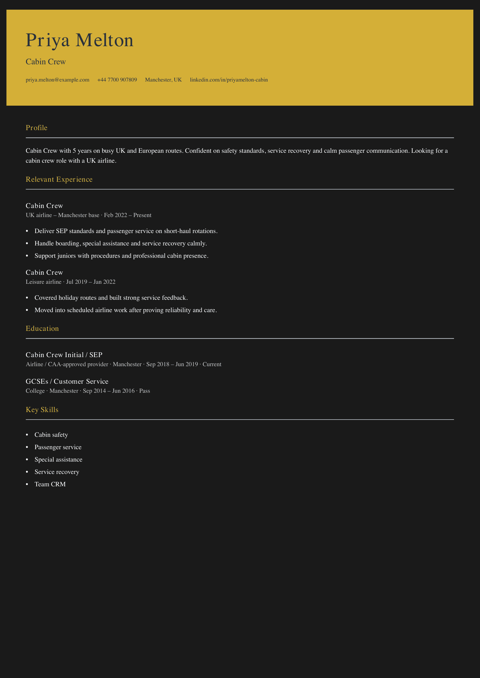 cabin crew CV template