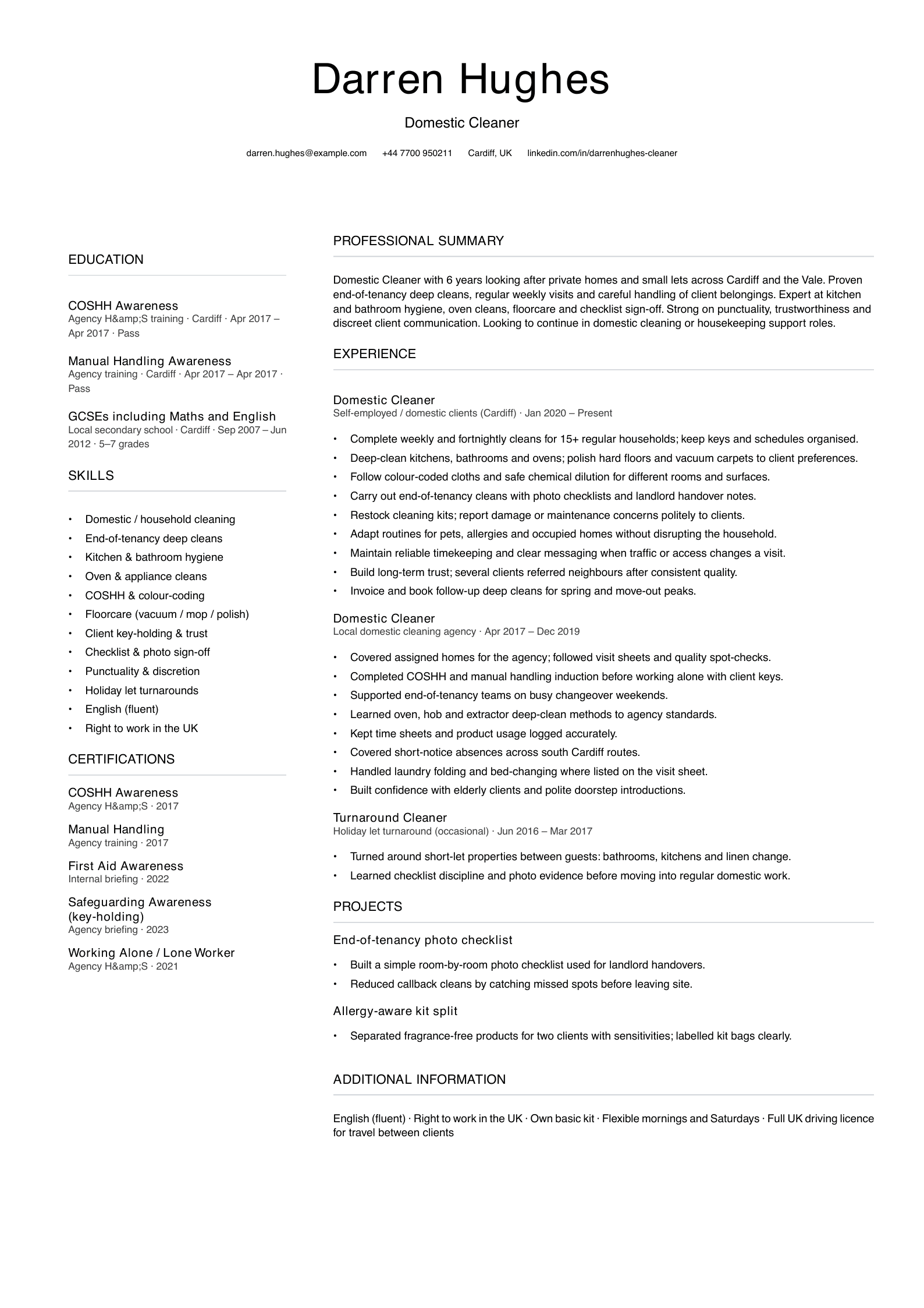 domestic cleaner cv template