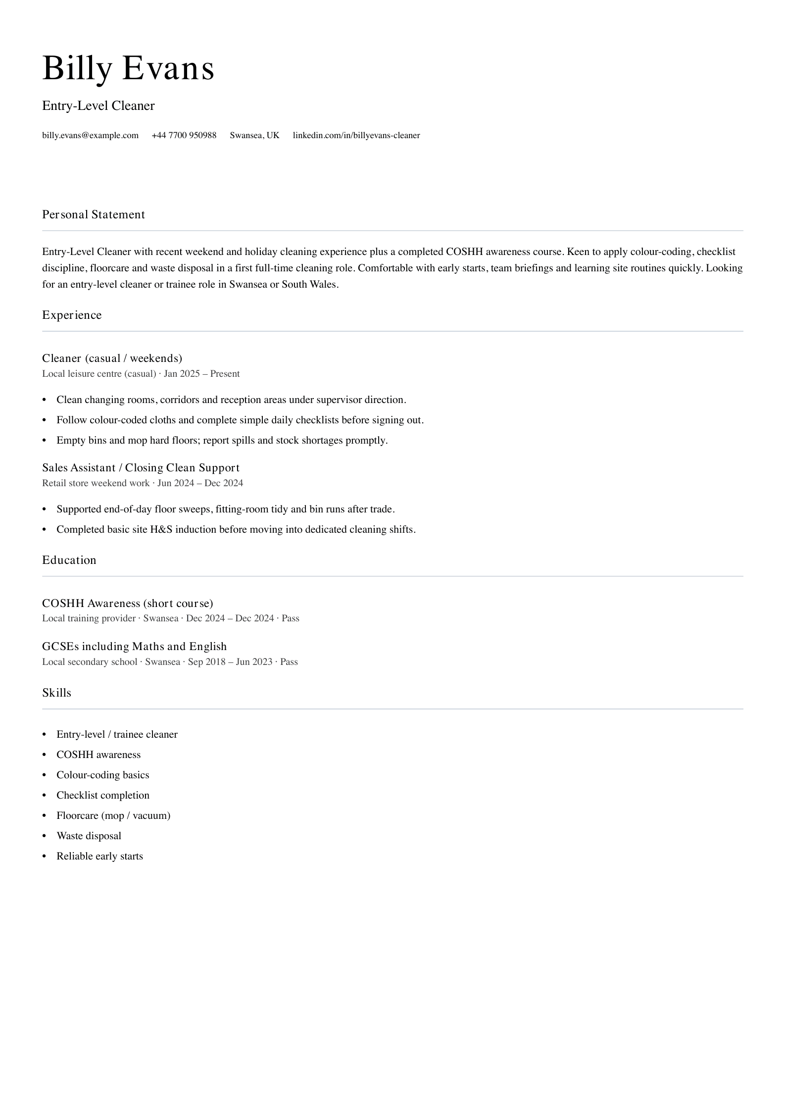 entry level cleaner cv template
