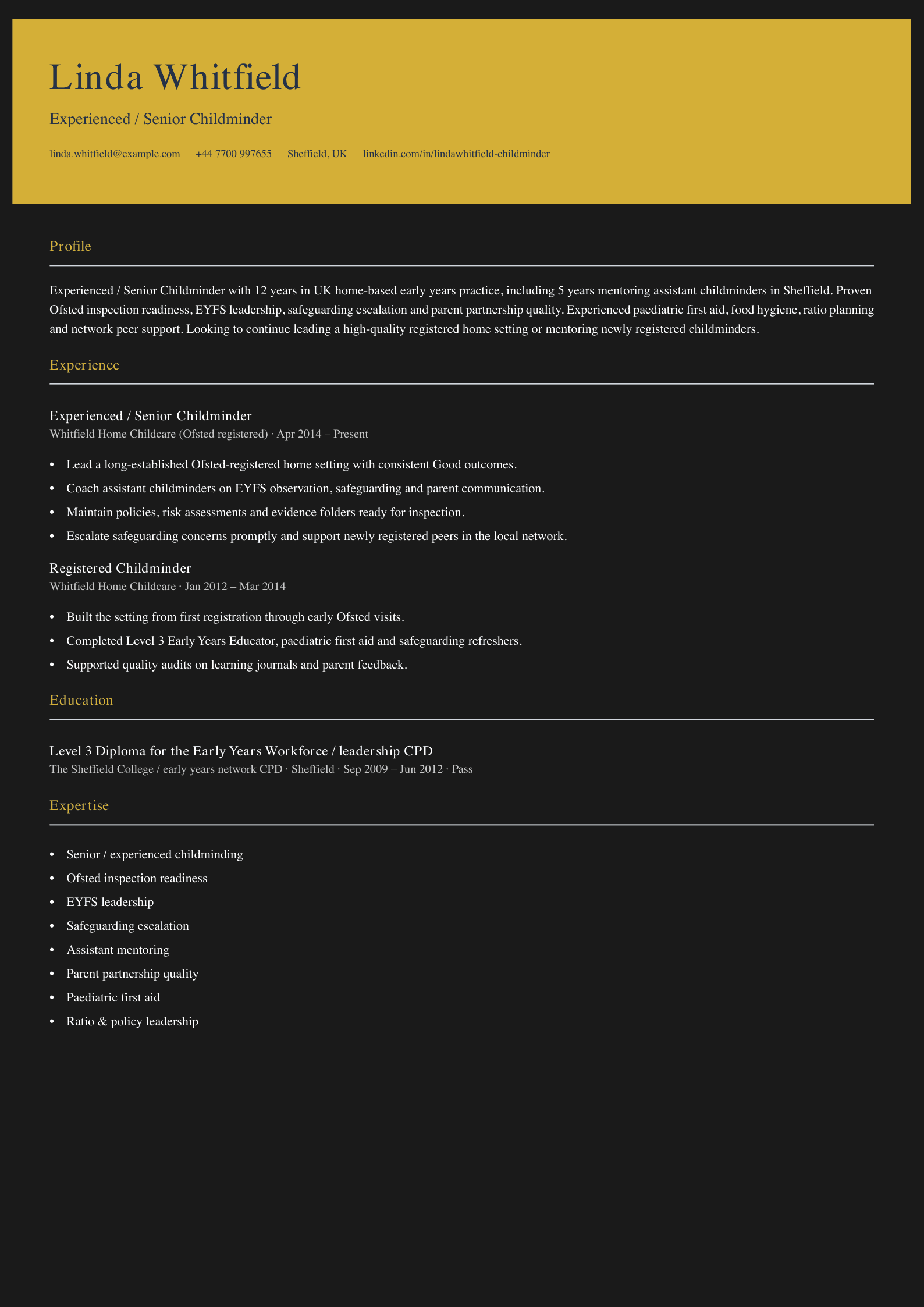 experienced senior childminder cv template