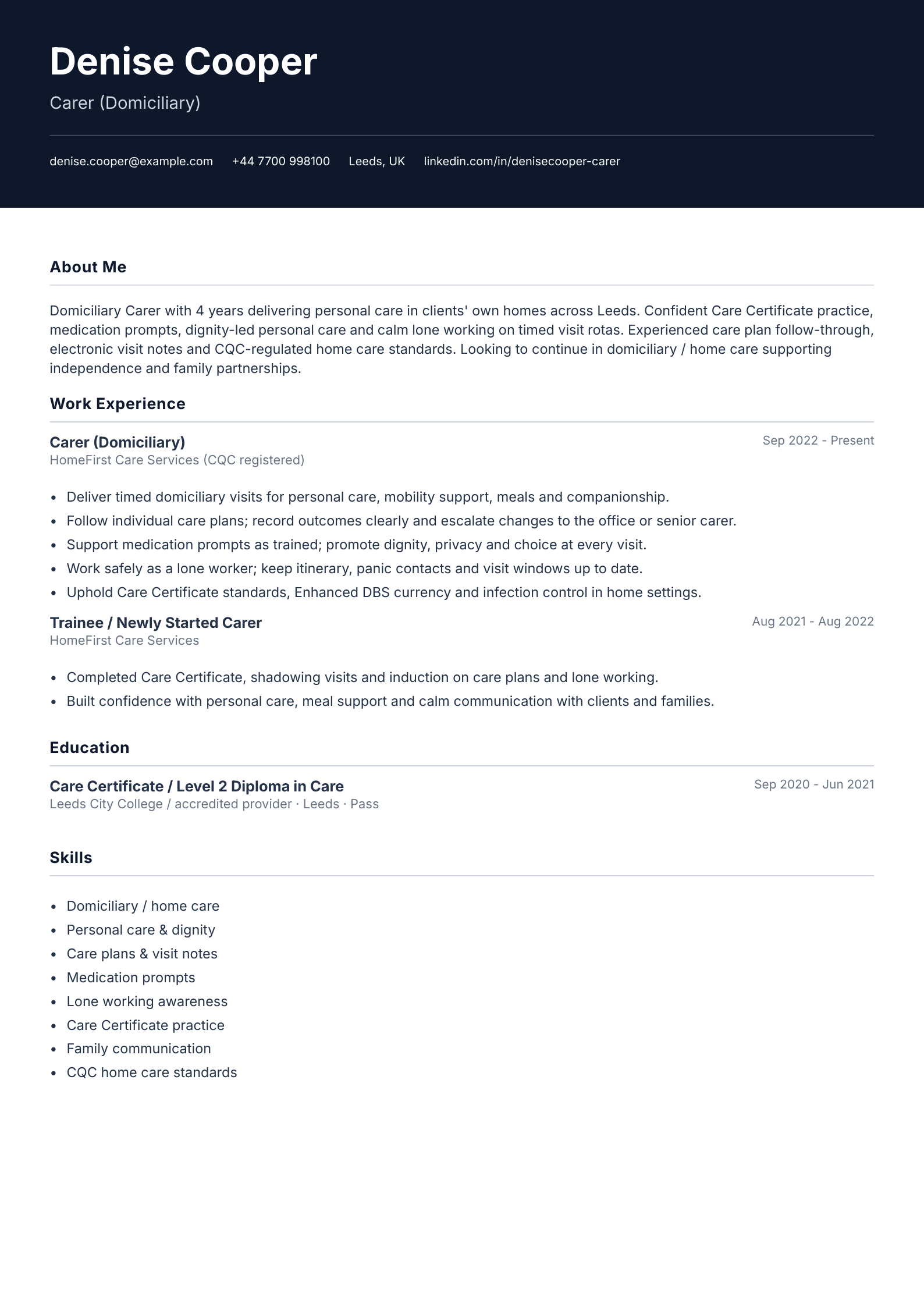 carer domiciliary cv template