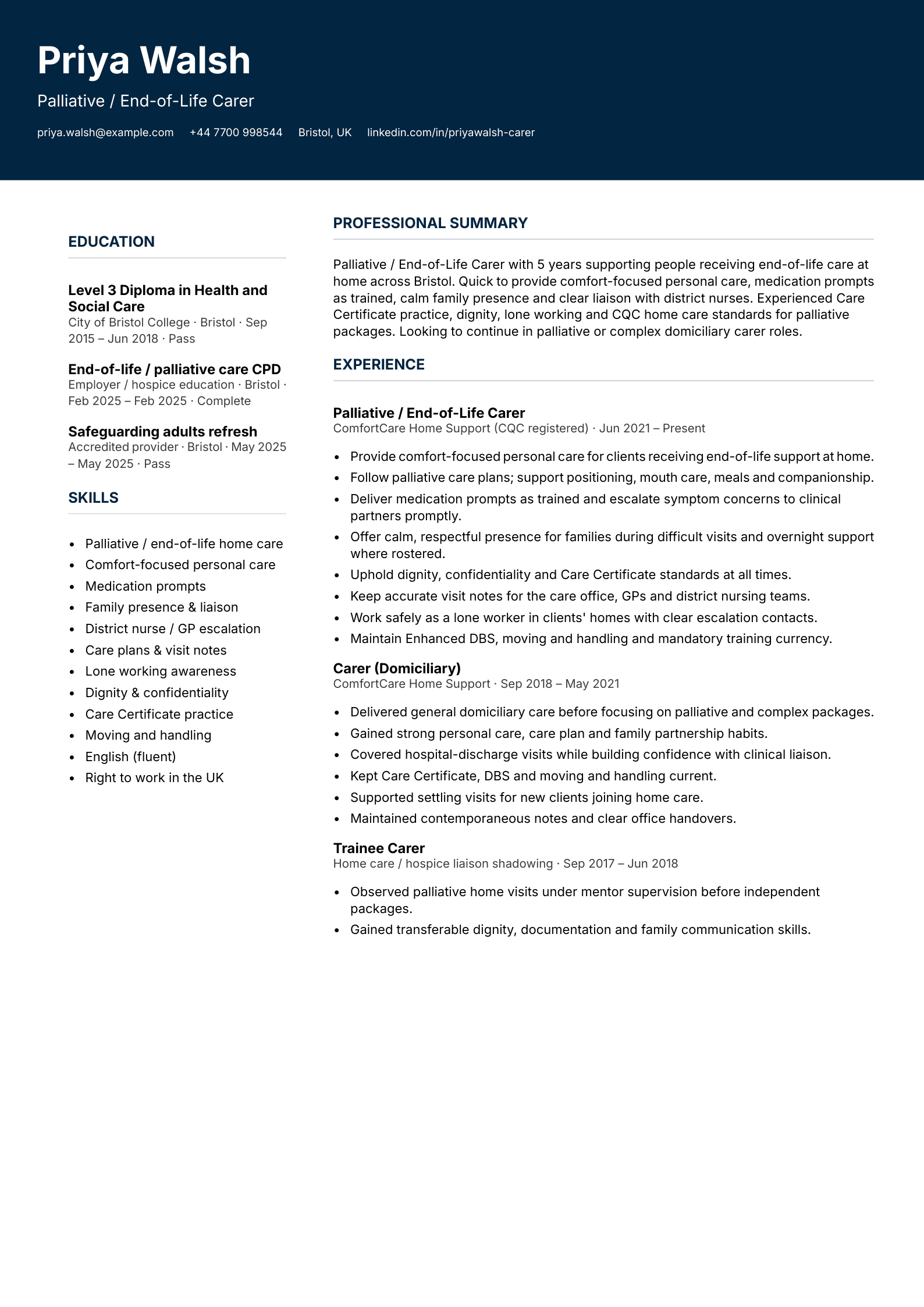 palliative end of life carer cv template