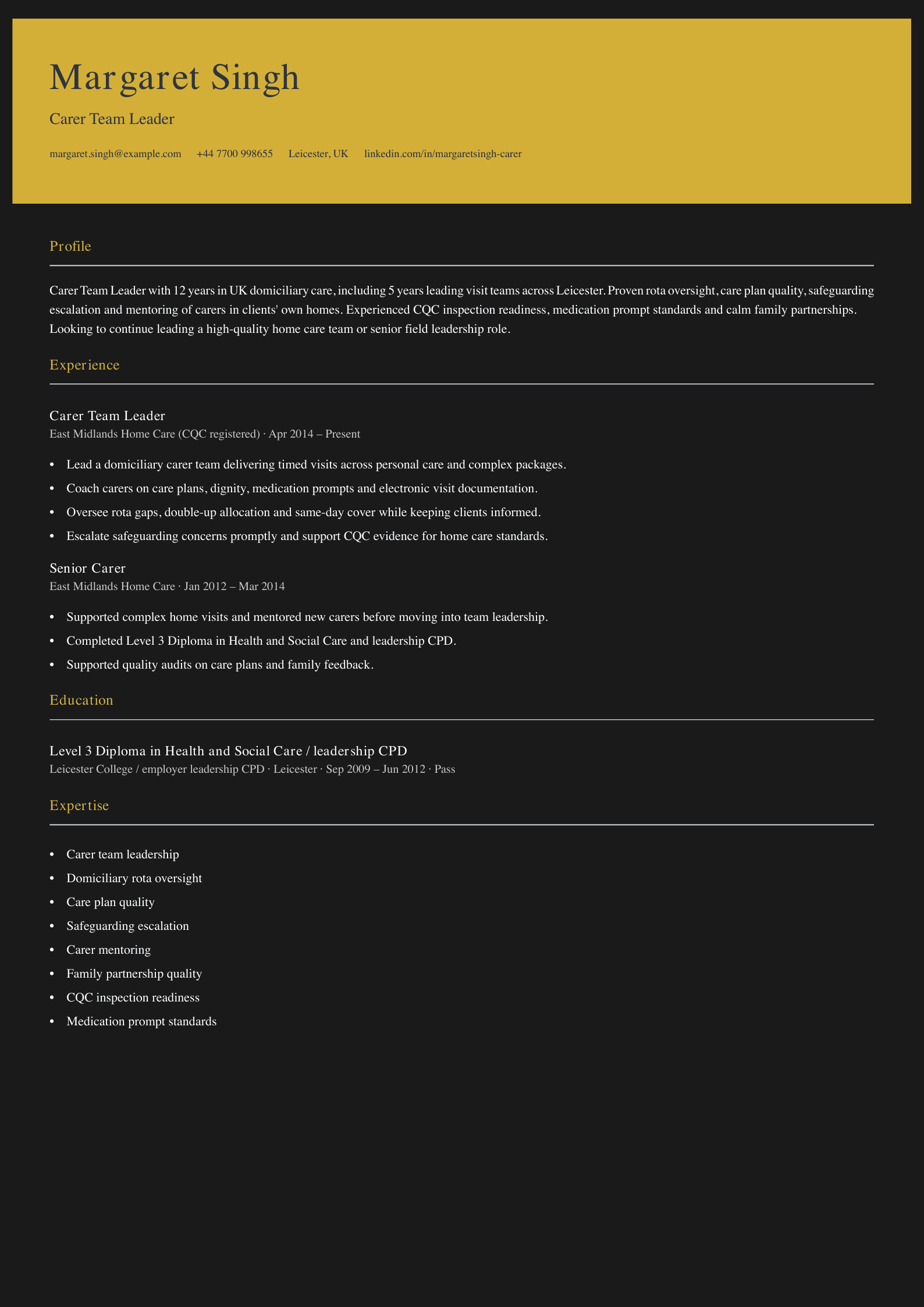 carer team leader cv template