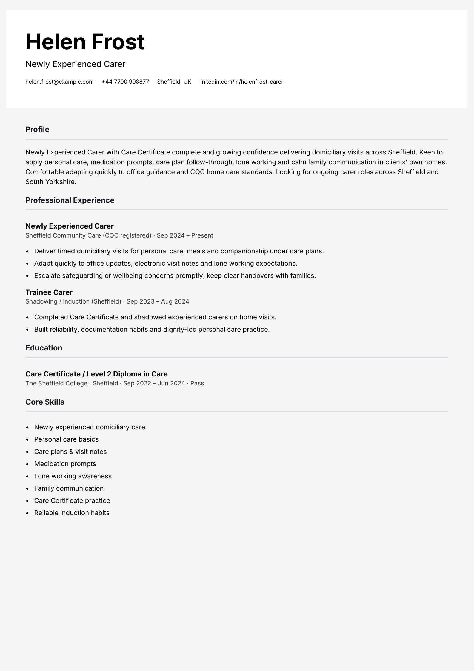 newly experienced carer cv template