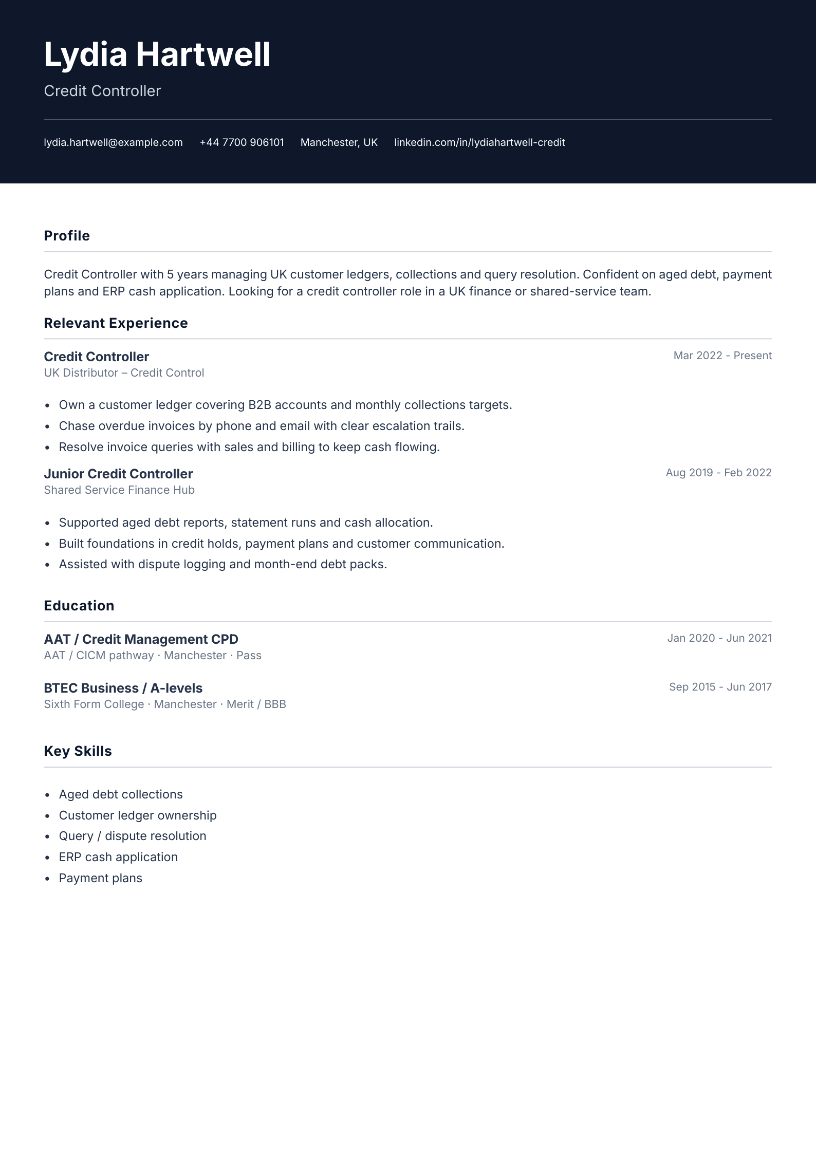 Credit controller CV template